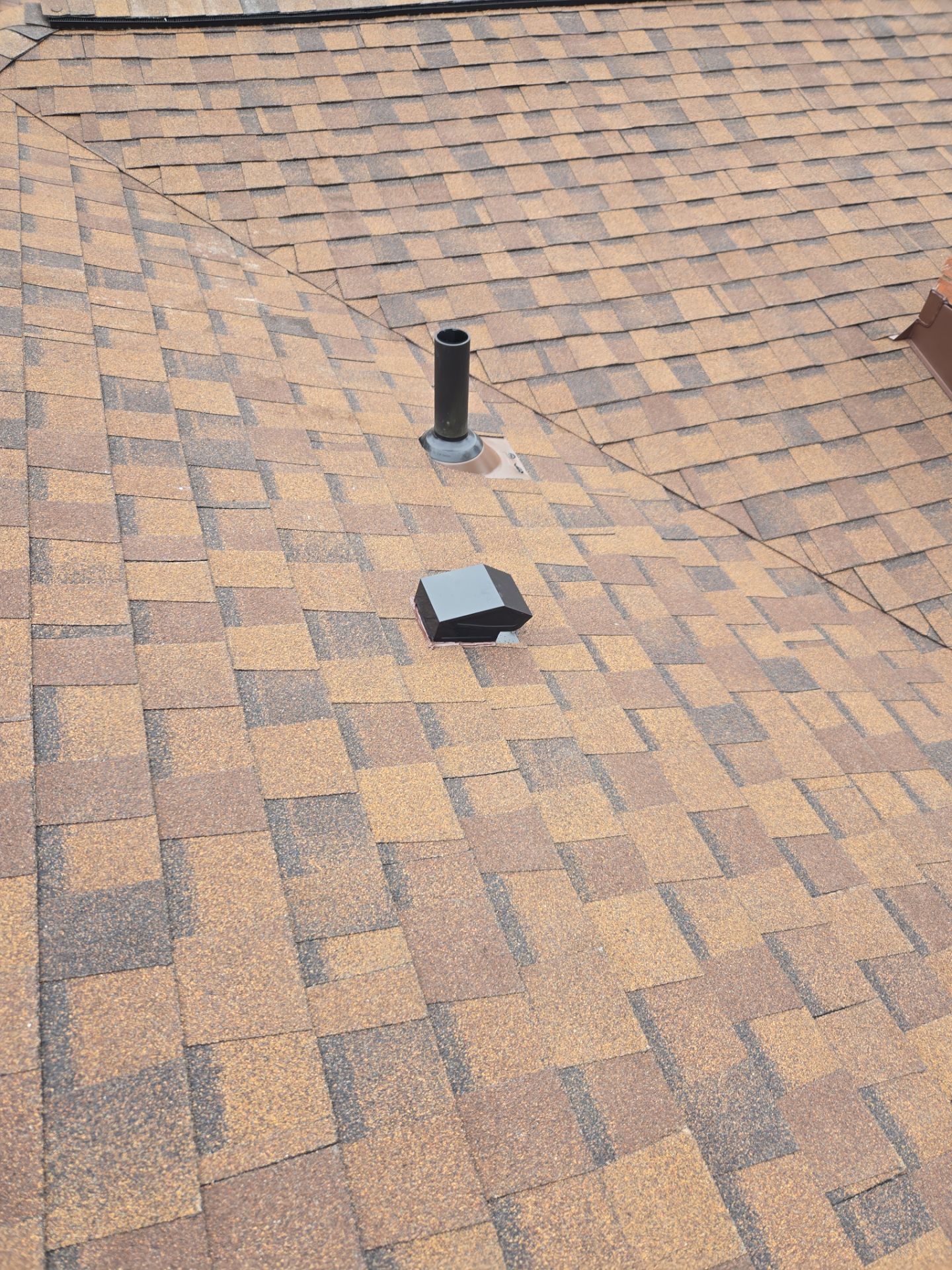 Atlas Pinnacle, Color, Burnt Hickory, Drip Edge, Color, Musket Brown by Eagle Eye Roofing