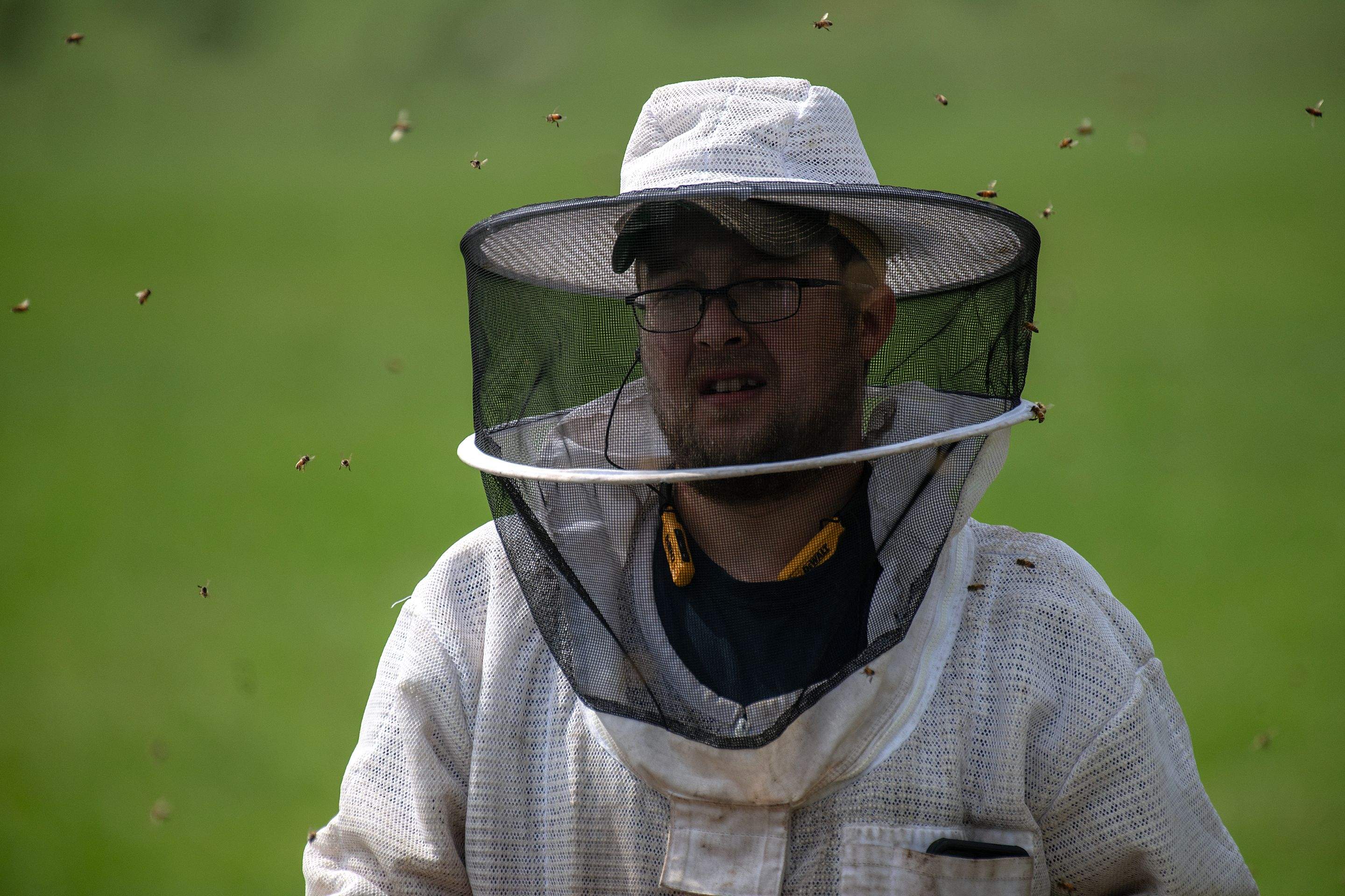 Splits in East Texas by Rockwall Honey Bee Company