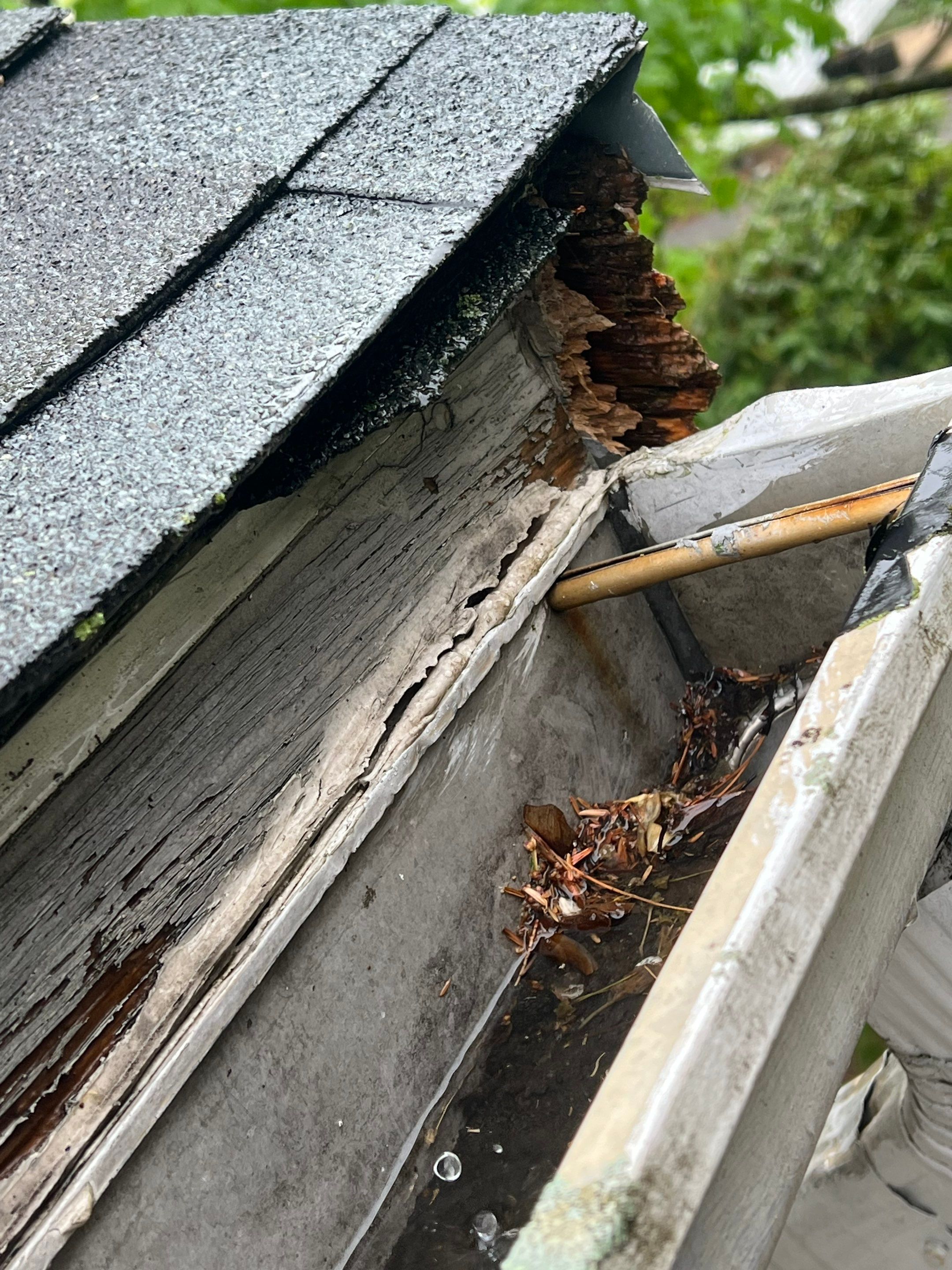 Gutters & Roofing | Acton by Mighty Dog Roofing of Greater Middlesex County