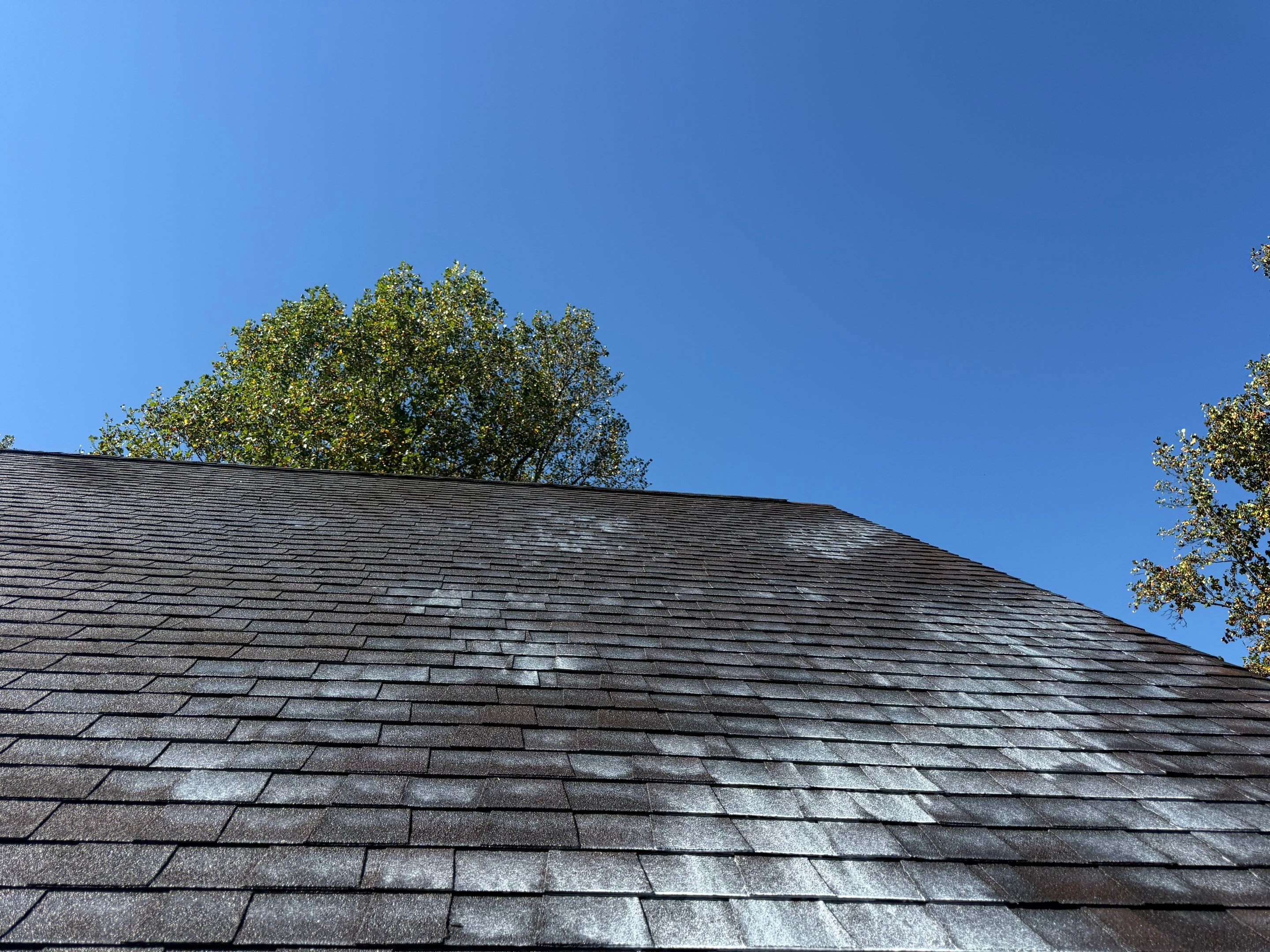 Residential Roof Rejuvenation and Shingle Repair in Weaverville by Bright Home Connections