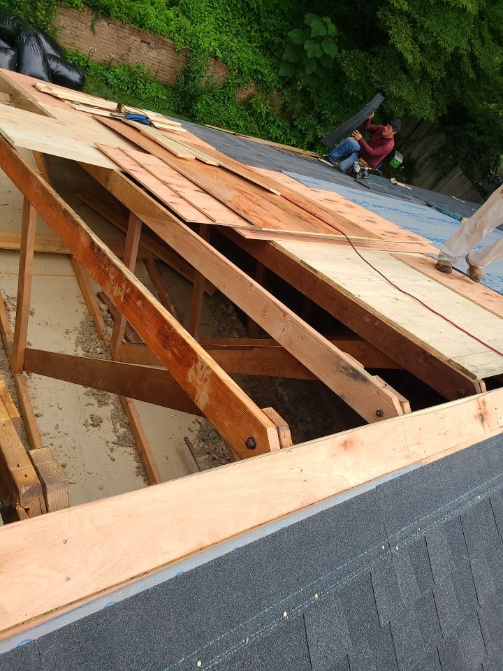 Springfield Tree Damage Restoration: CertainTeed Landmark Designer Shingles in Charcoal Black by RM Banning, Inc.