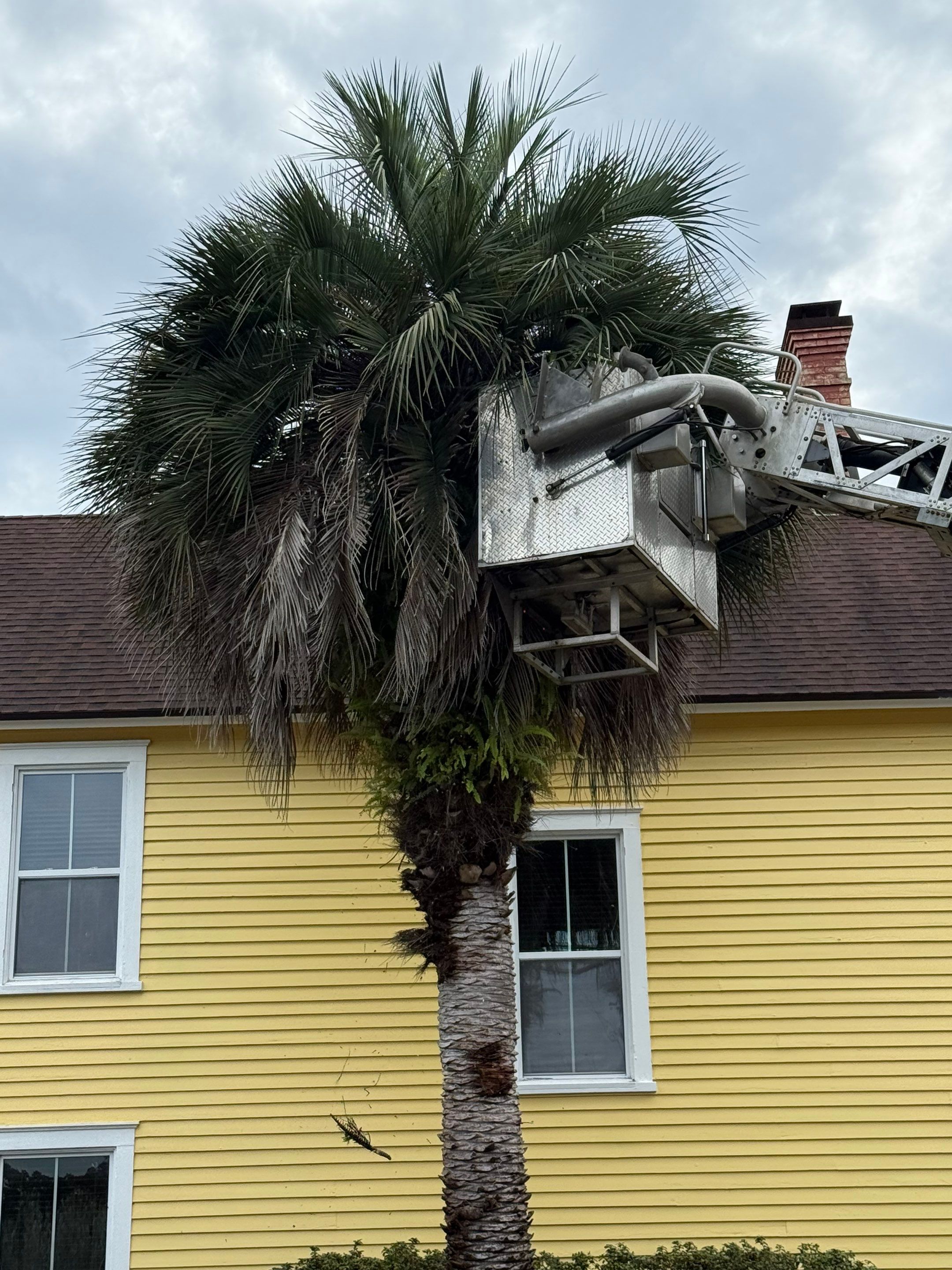 Volunteer Work | Episcopal High School of Jacksonville by ProGreen Services