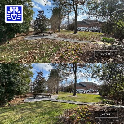 WINTER SERVICES: FULL LEAF JOB (COMMERCIAL)