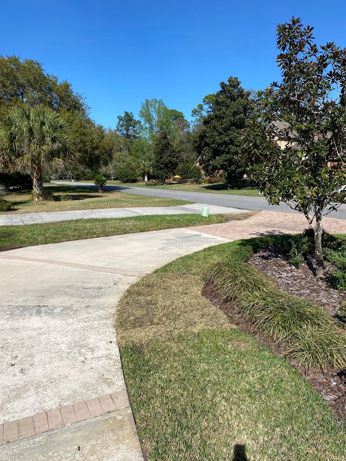 Deerwood Resident | Sod Install & Shrub Removal by ProGreen Services