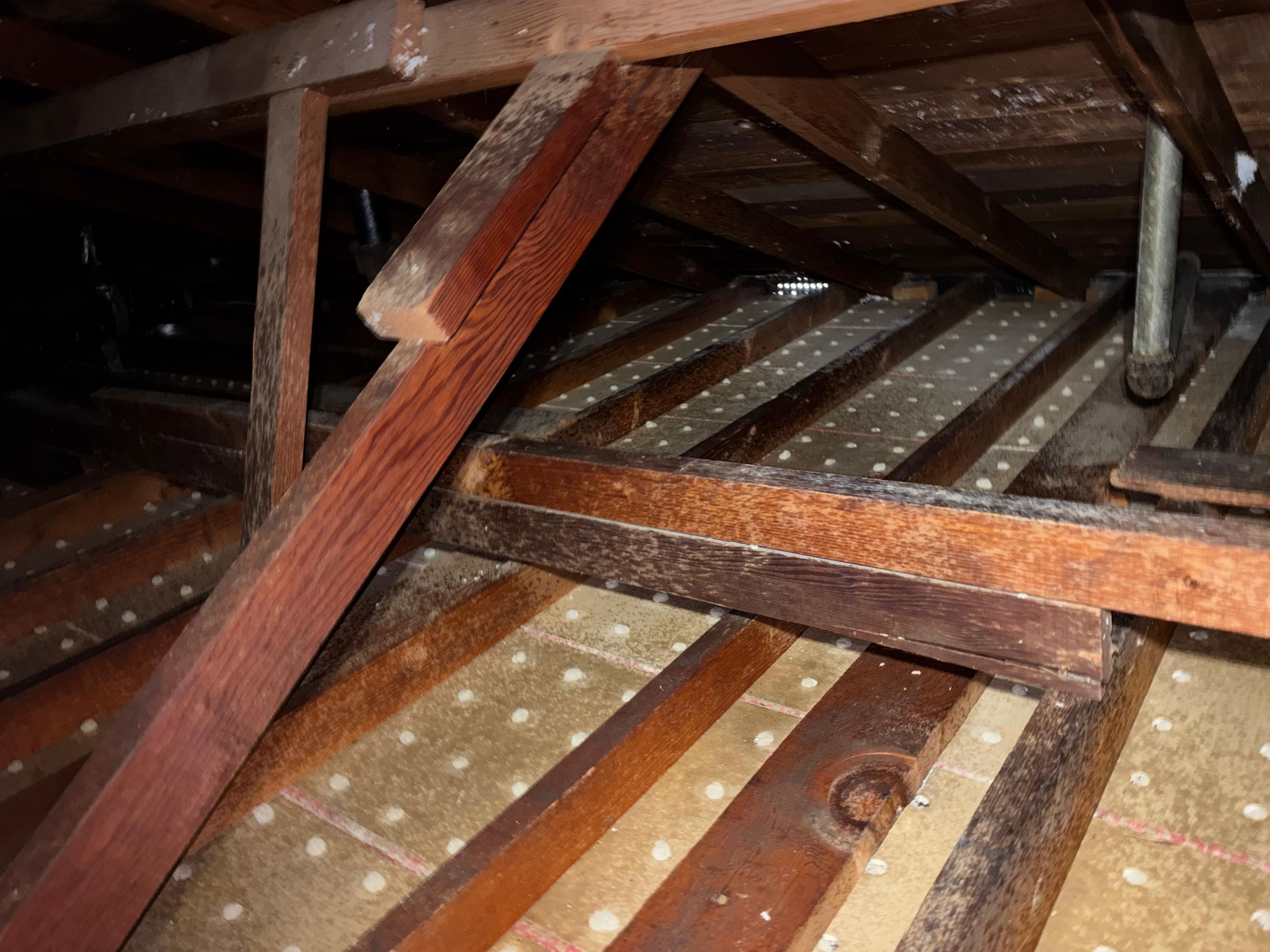 Project in Arleta by Insulation Labs