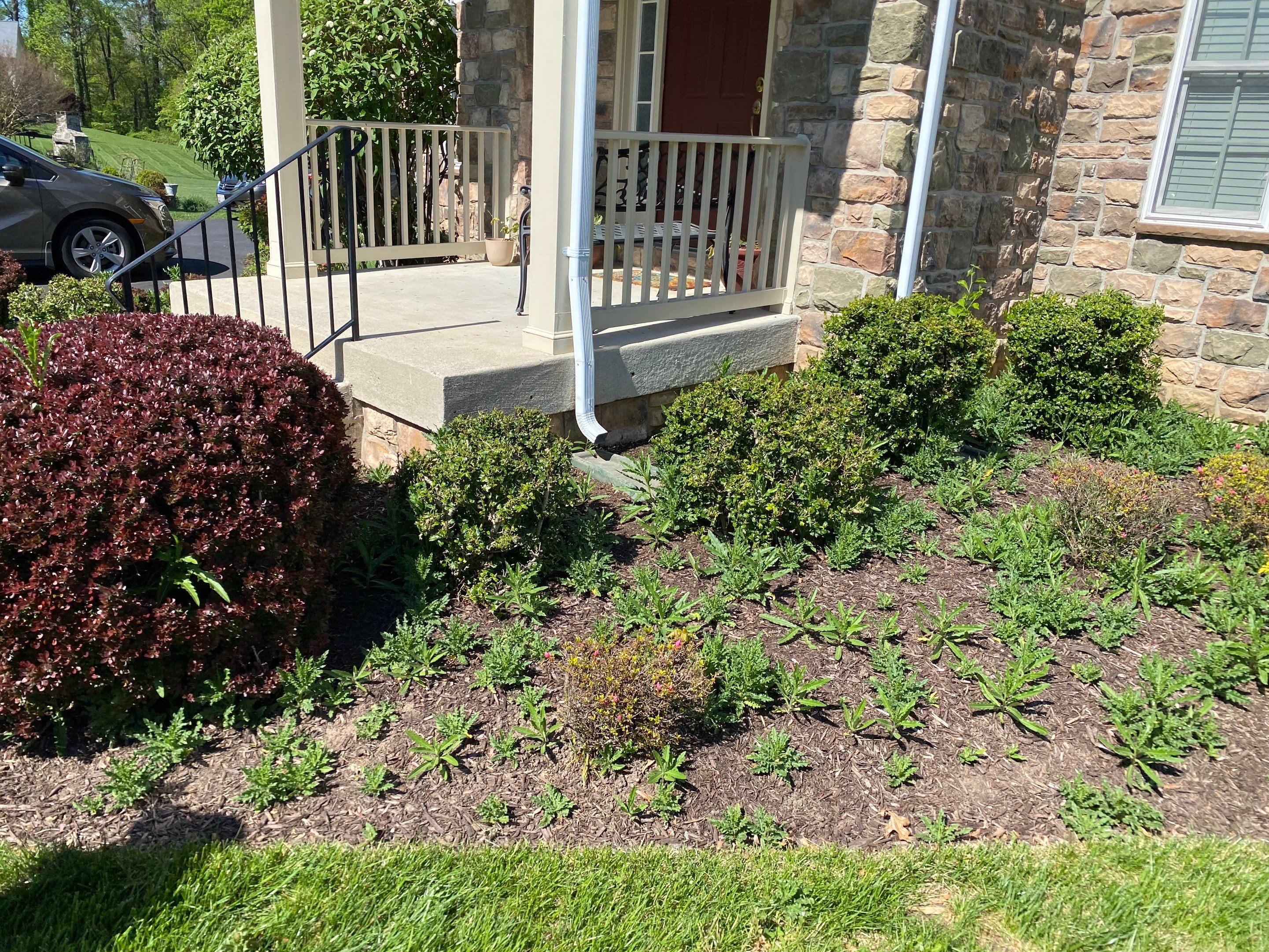 Landscape Cleanup & Mulch  by The Smet Companies, LLC