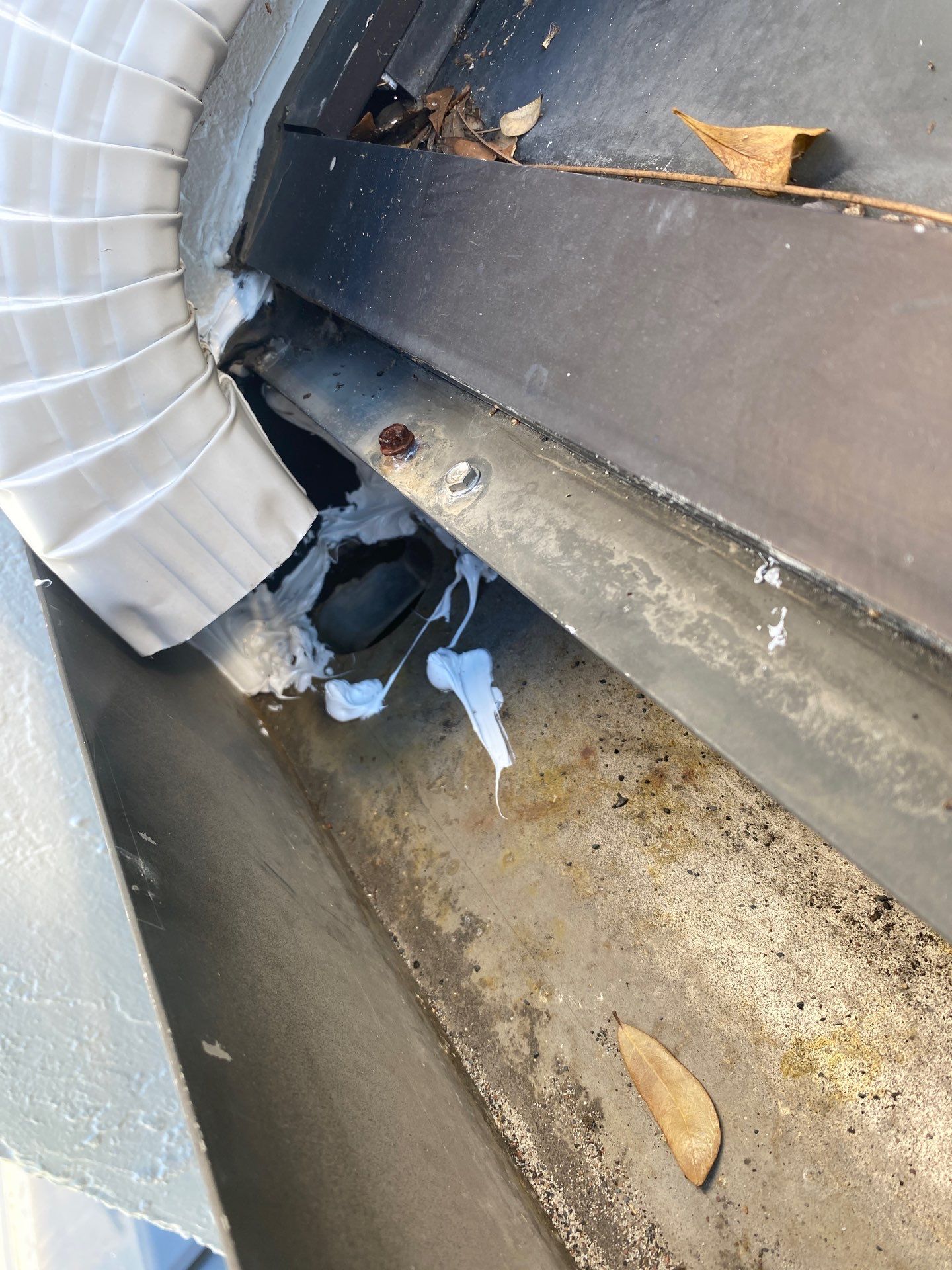 Gutter cleaning all buildings are the same for 6 units in Fort Myers FL by Gutter Professors