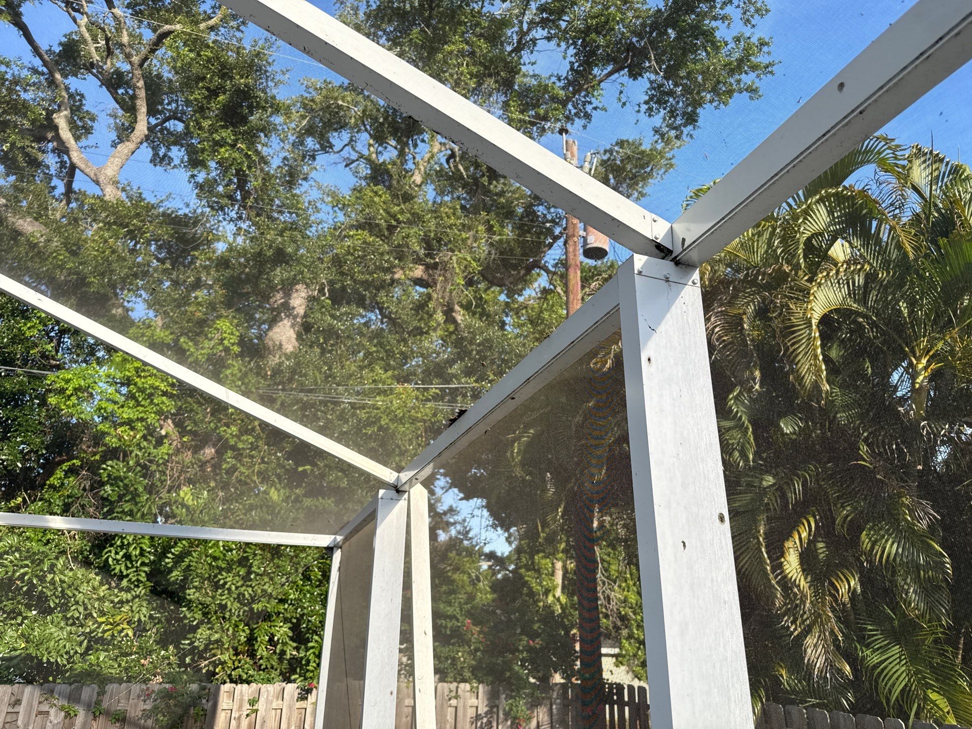 Painted Pool Deck & Pool Cage Cleaning in Allendale – Bradenton, FL by Sunshine AquaWash