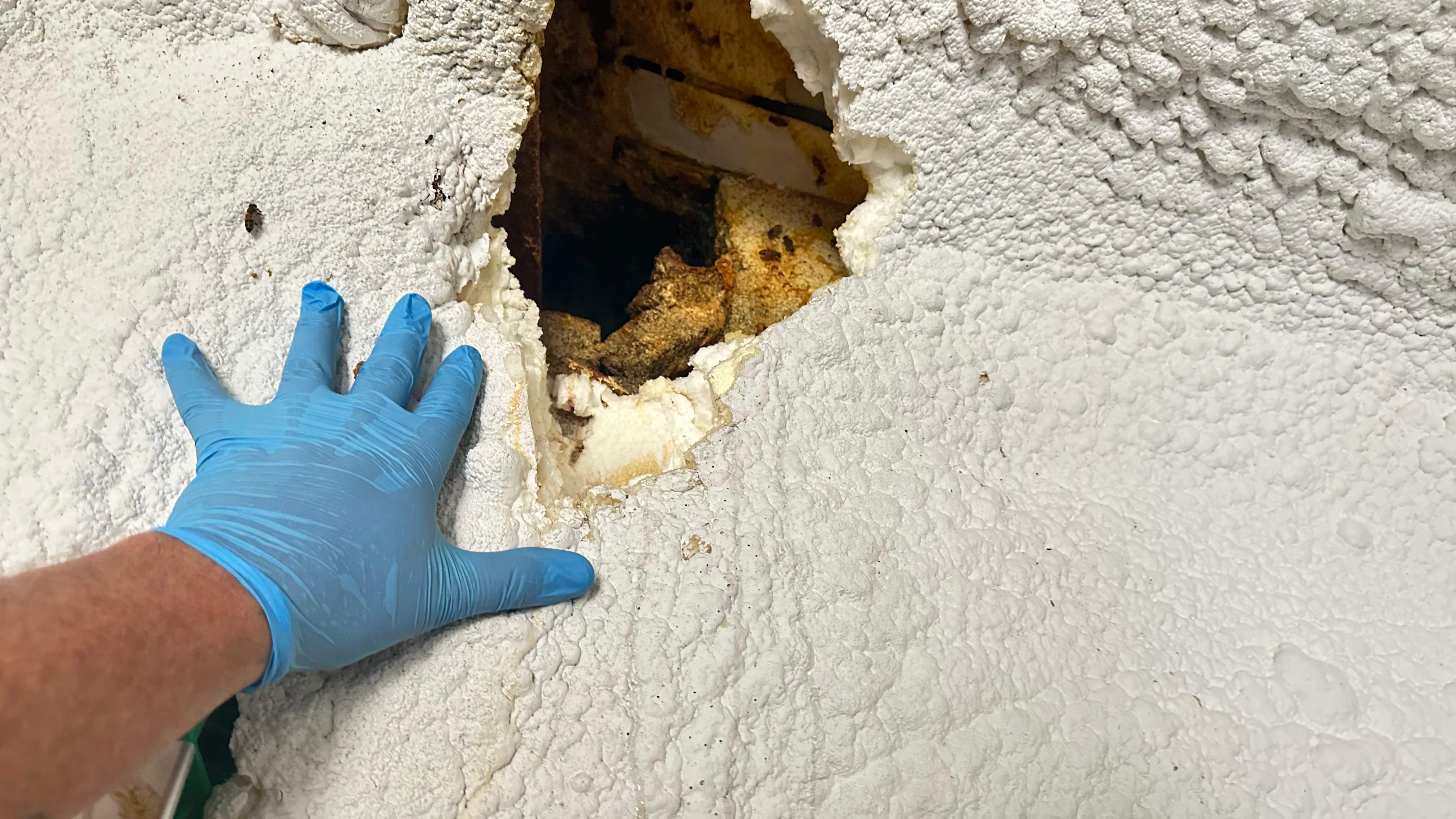 Art Gallery by Rockwall Honey Bee Company