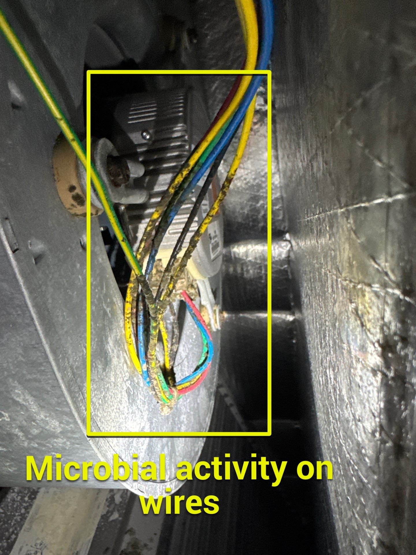 Duct Cleaning and Mold Remediation by Home Disaster Medics