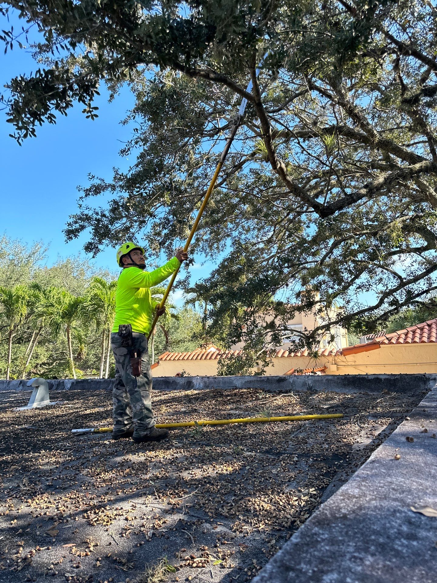 Removing Low Tree Branches Over Roof by Nature's Dream Landscape and Tree Service