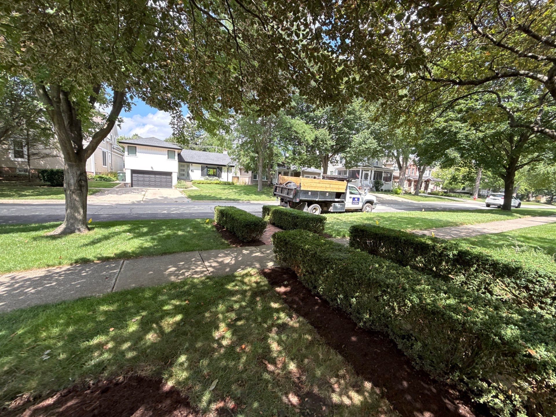 Jason G. - Arlington Heights, IL by A&N