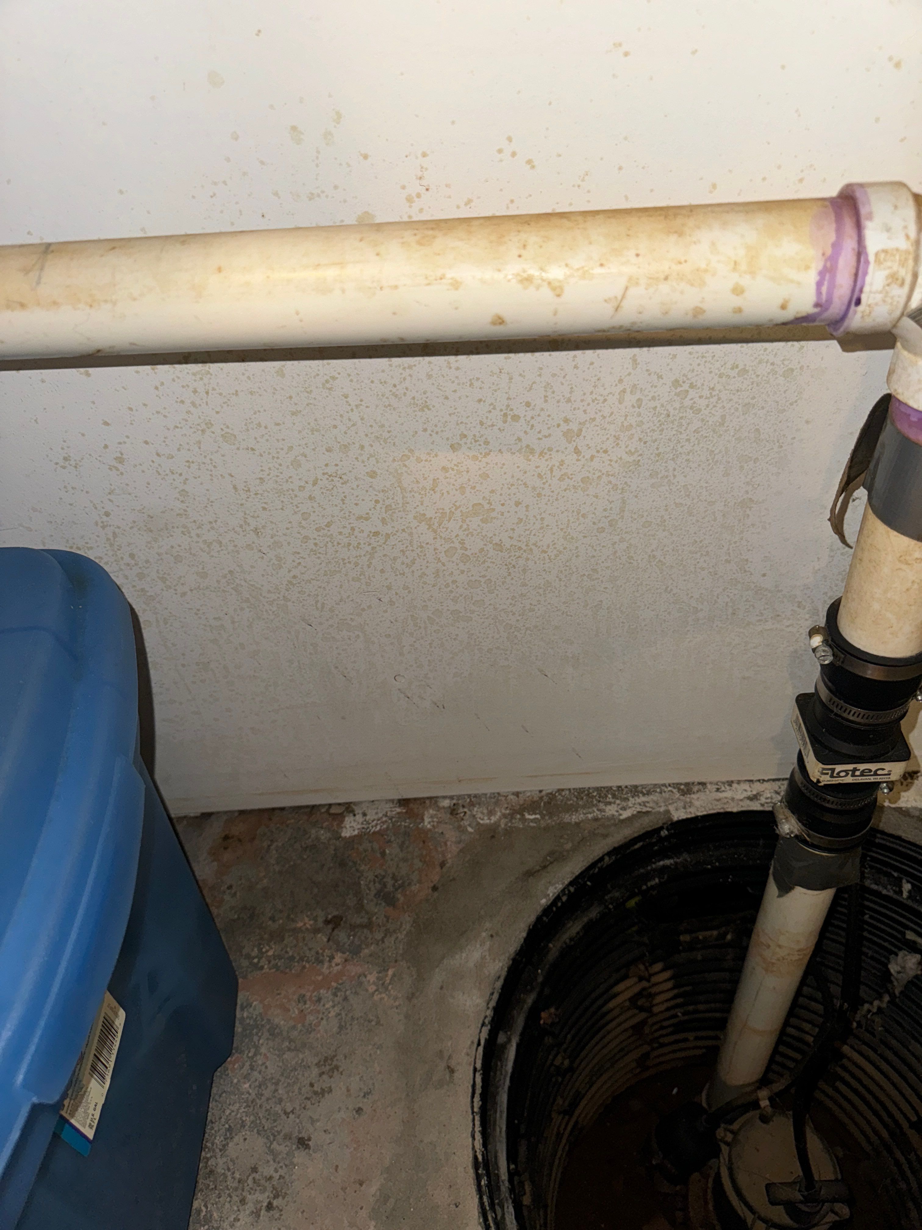 Basement Waterproofing River Edge NJ by Pure Service Pro, LLC 