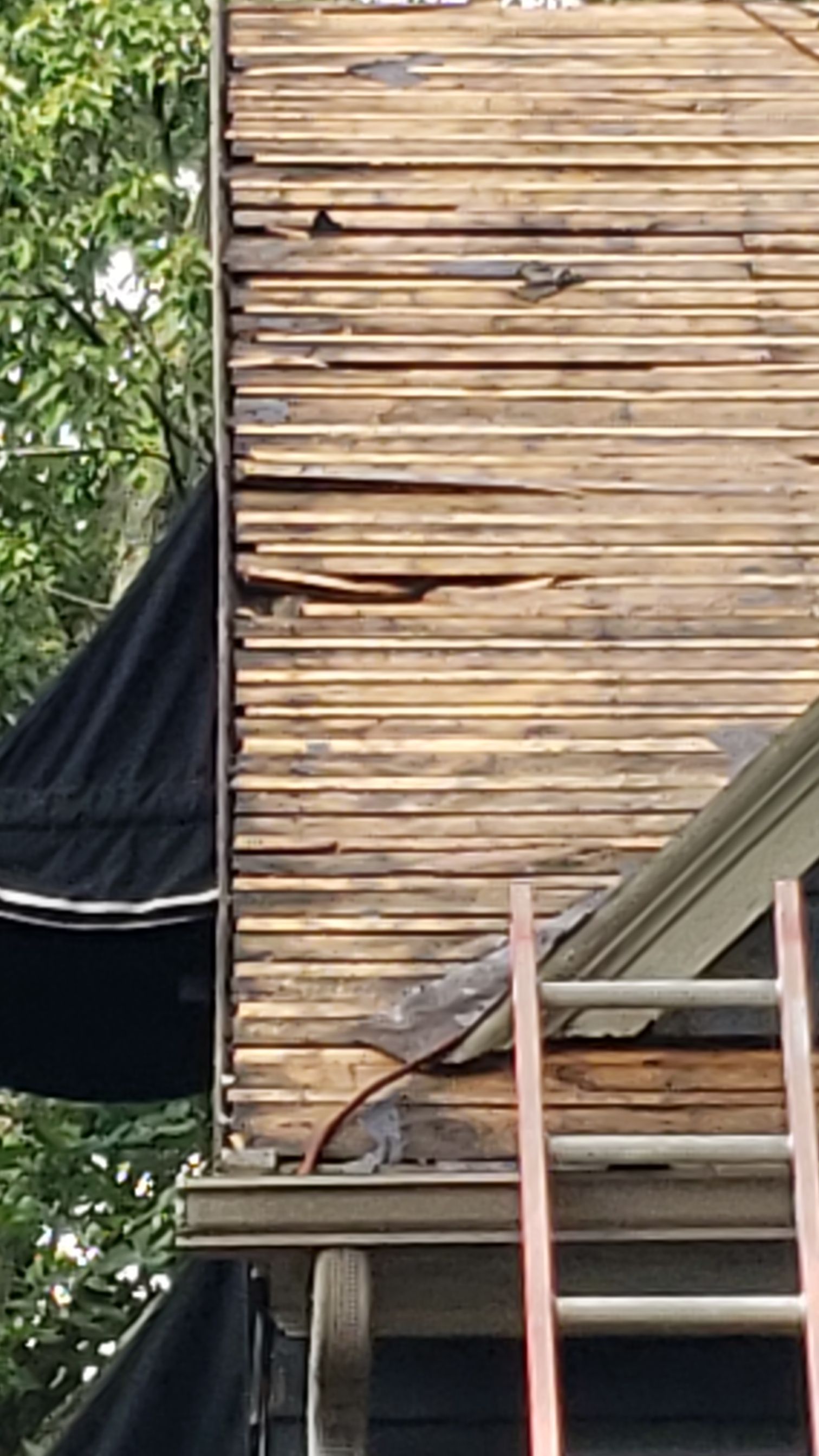 Atlas Pinnacle Pristine Scotchgard: Black Drip Edge: Black by Eagle Eye Roofing