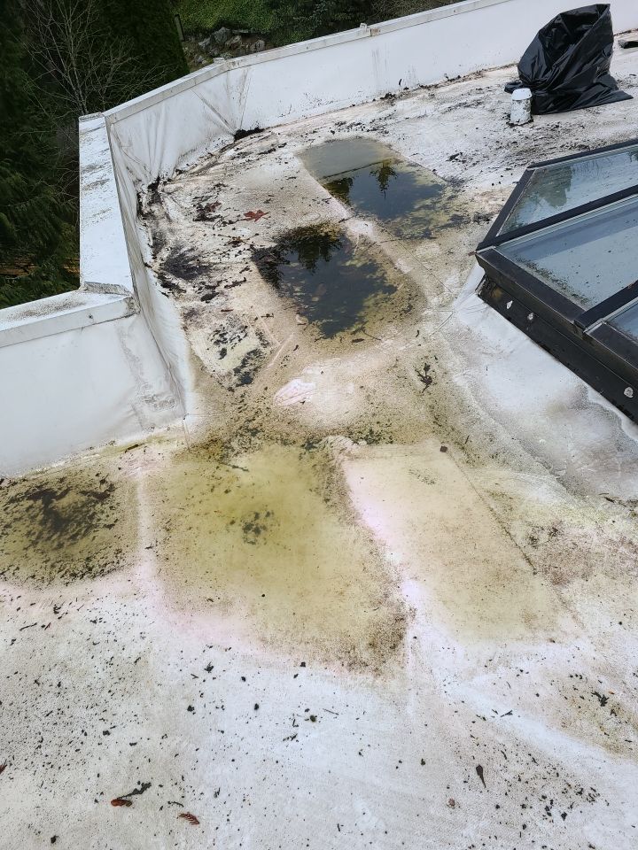 Flat Roof Replacement in Redmond with Custom Skylight using Duro-Last PVC by RoofSmart