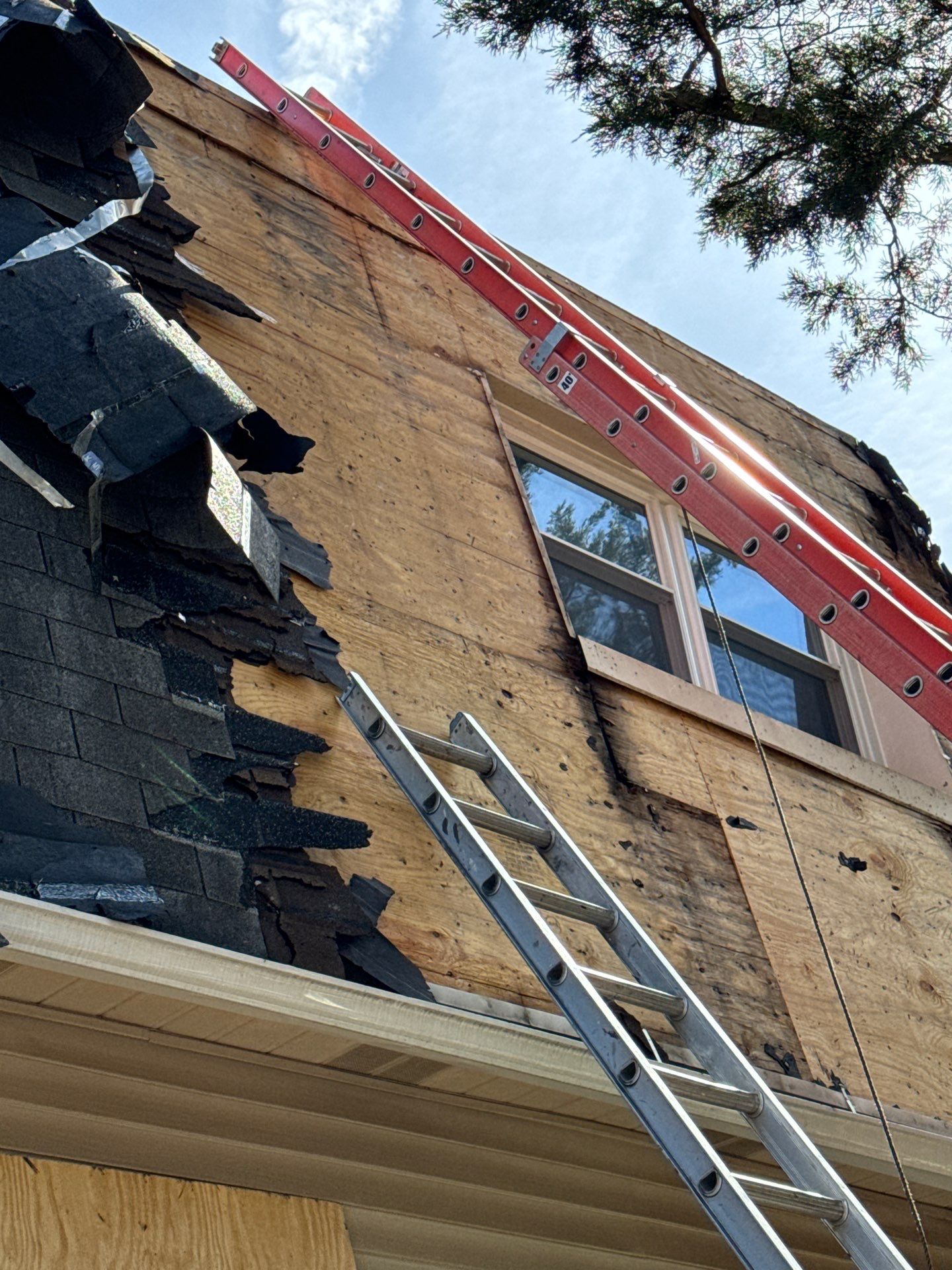 Moire Black Shingles by Reimagine Roofing