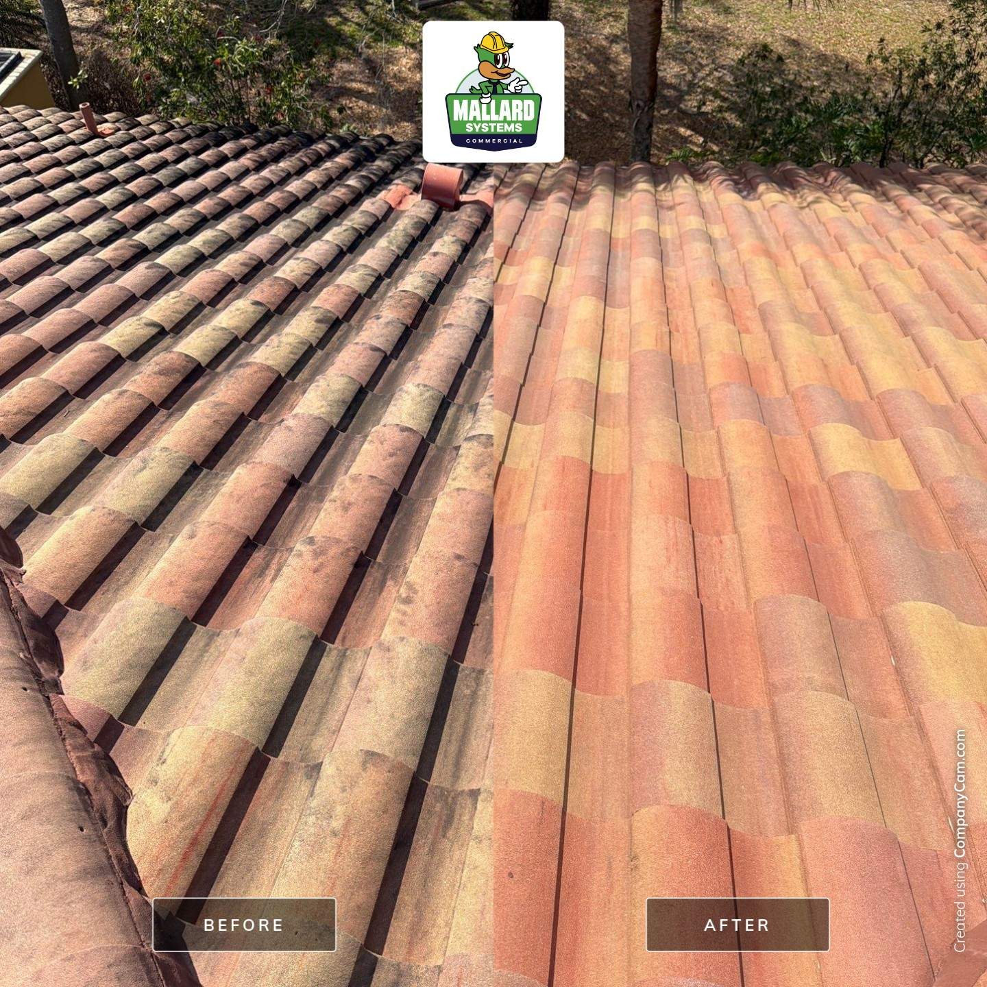 Barrel Tile Roof Cleaning by Mallard Systems