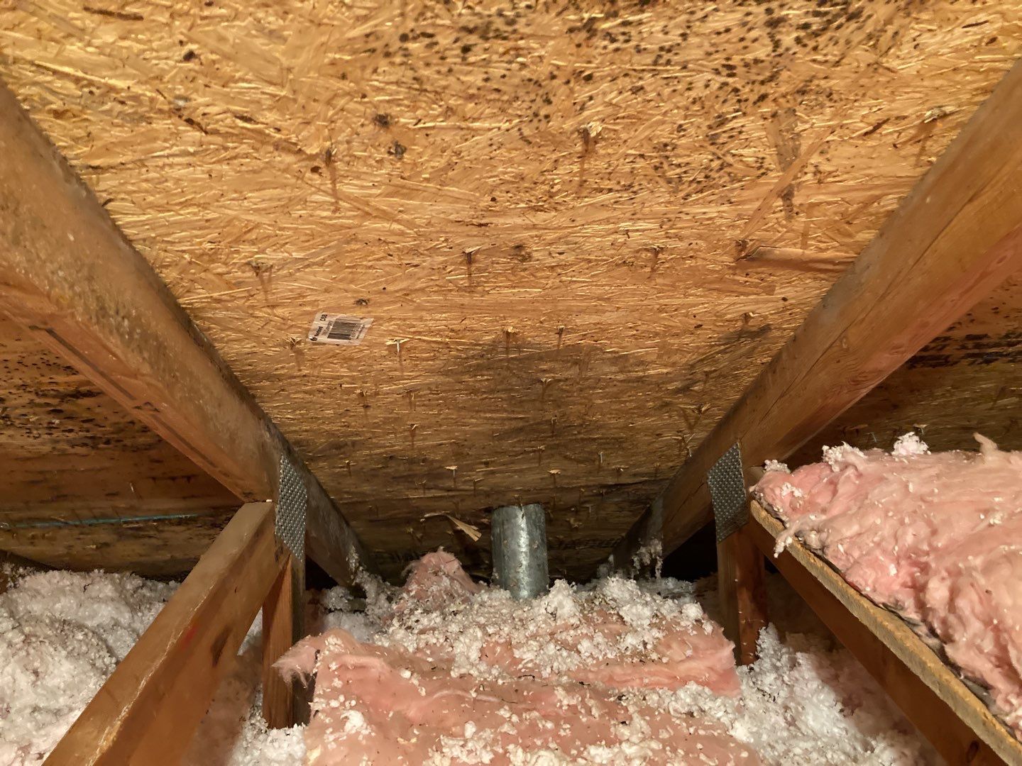 Mold Remediation in Attic by Accountable Home Services