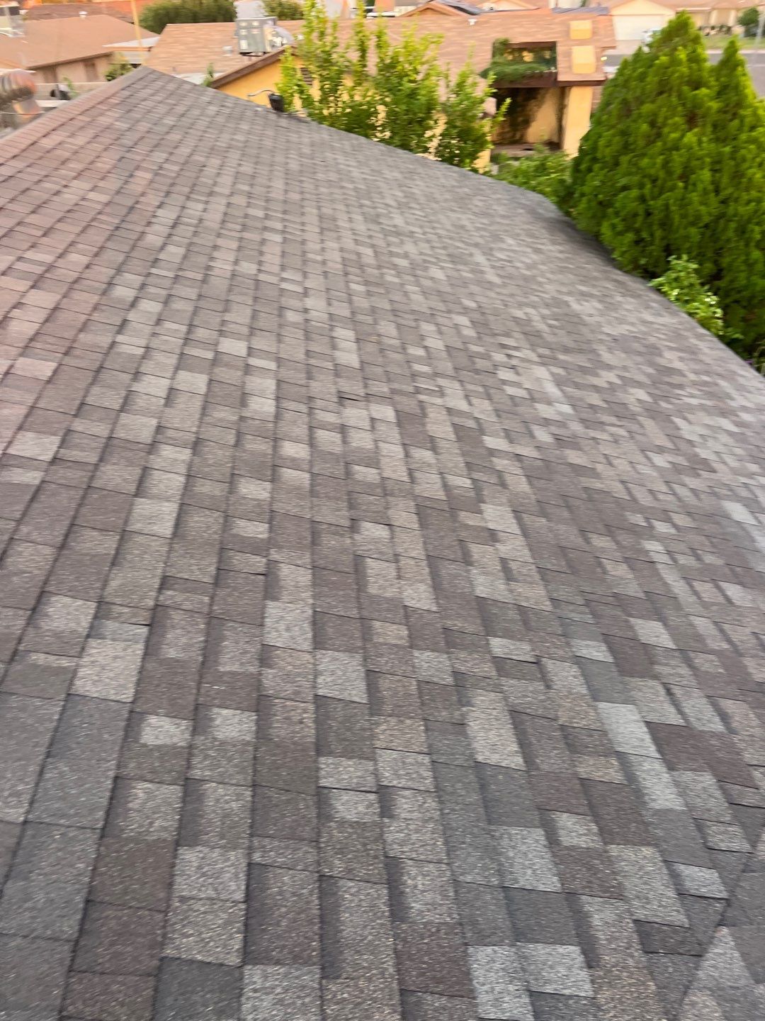 Birchwood Shingles by Reimagine Roofing