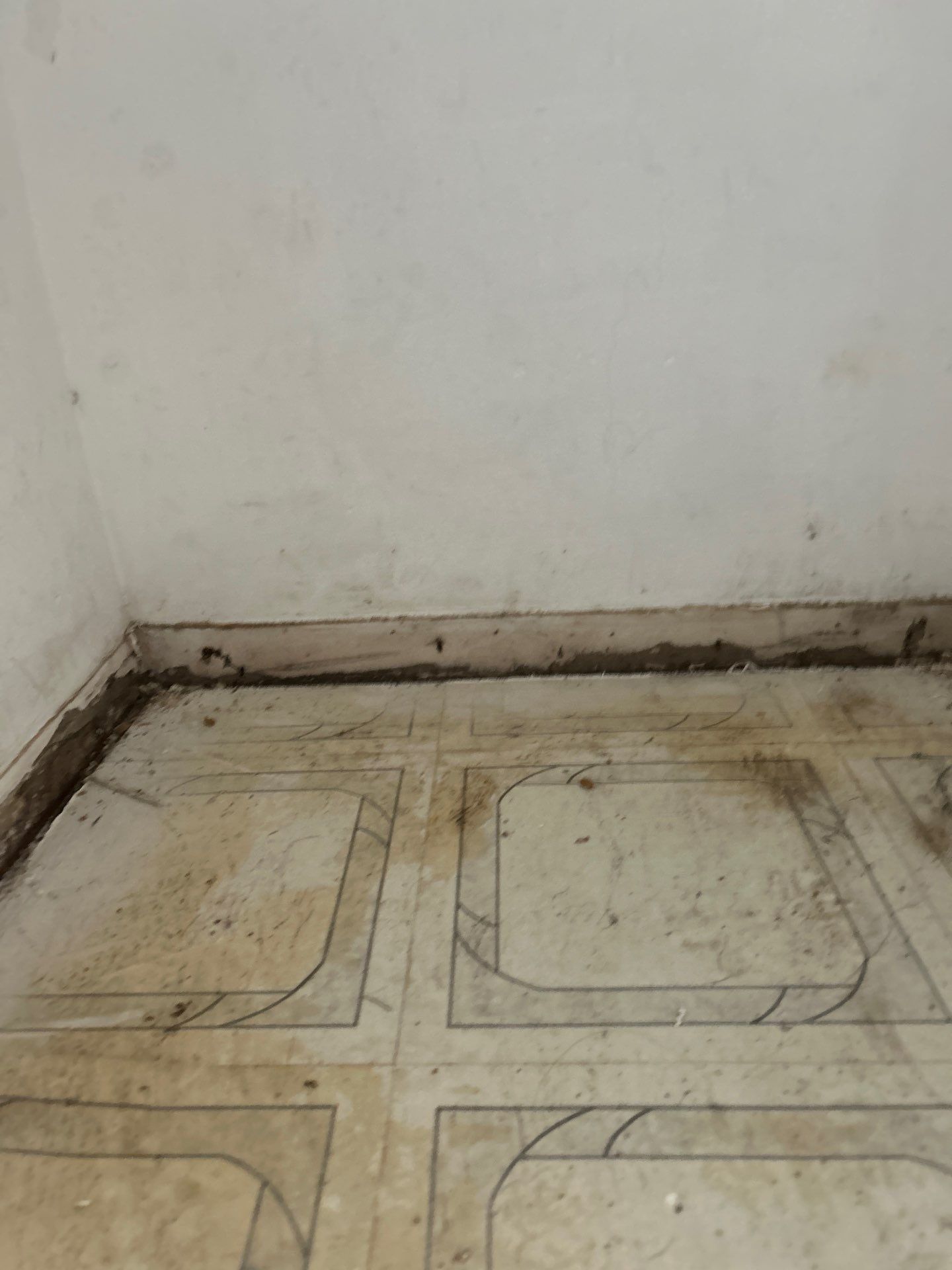Water Damage Remediation Services by Ampm Restoration Services