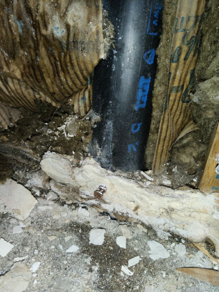 Mold Remediation using Containment by Accountable Home Services