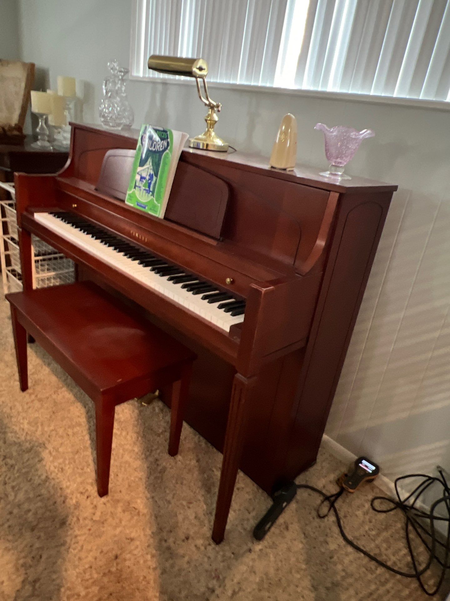 Project in Royal Oak by EzDry Water Mitigation & Property Restoration