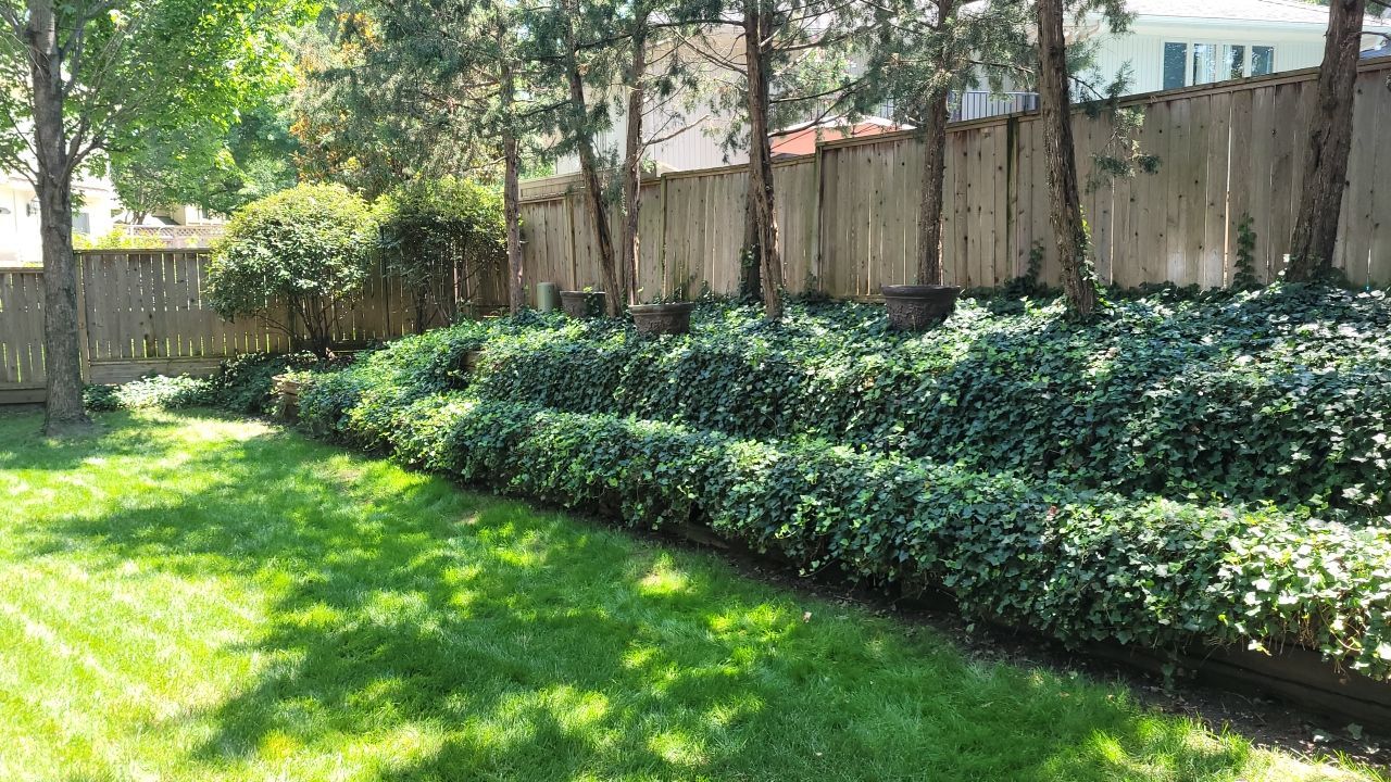Back Yard Harington Retaining Wall by LAND ESCAPES LLC