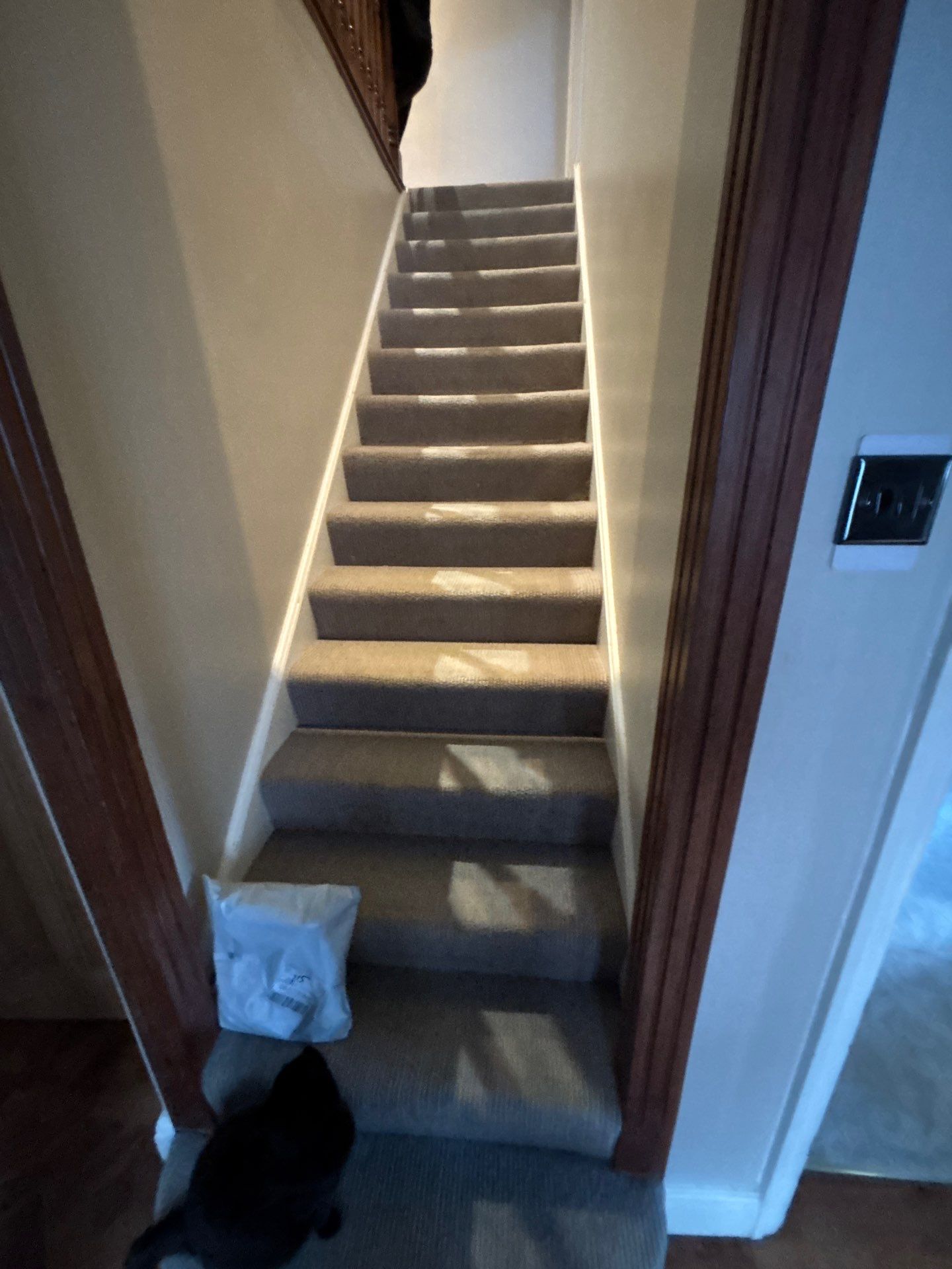 Roof - Driveway - Patio - Carpet Cleaning - Epsom by Ges Exterior Cleaning ltd