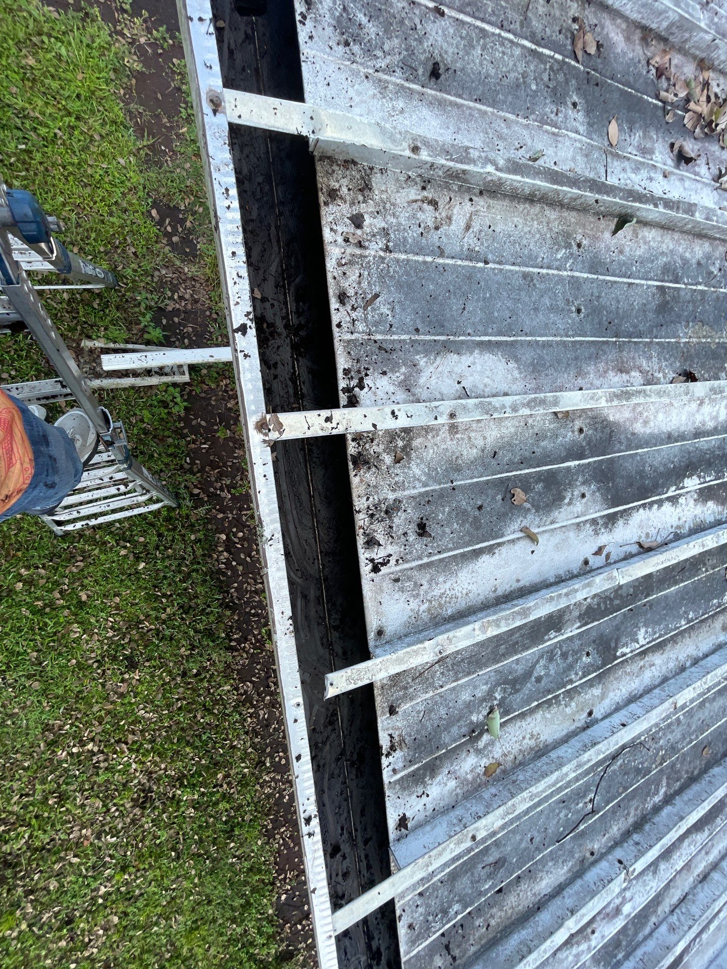 Gutter Cleaning in Brandon FL by Gutter Professors