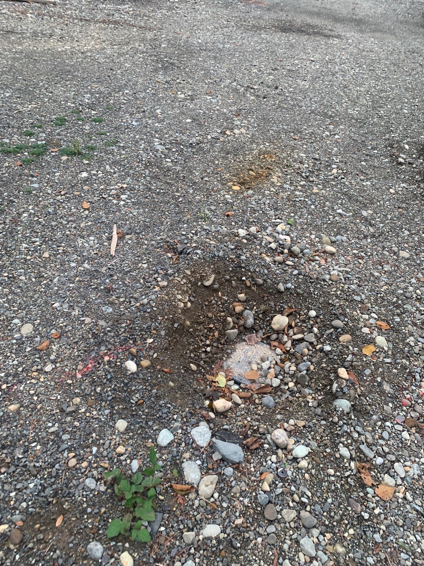 Asphalt Patch Repair | Lynnwood  by Jireh Asphalt & Concrete Inc 