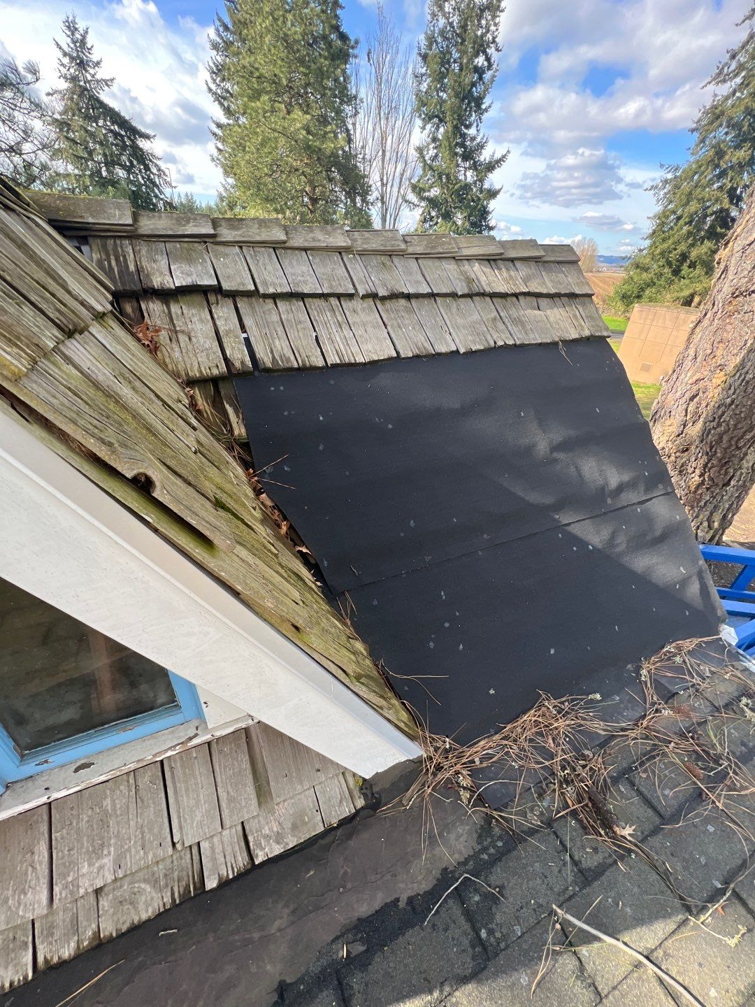 Cedar Shake Install using #1 Blue Label Cedar Shingles for the Albany Visitors Association  by Orezona Building & Roofing Company, Inc.
