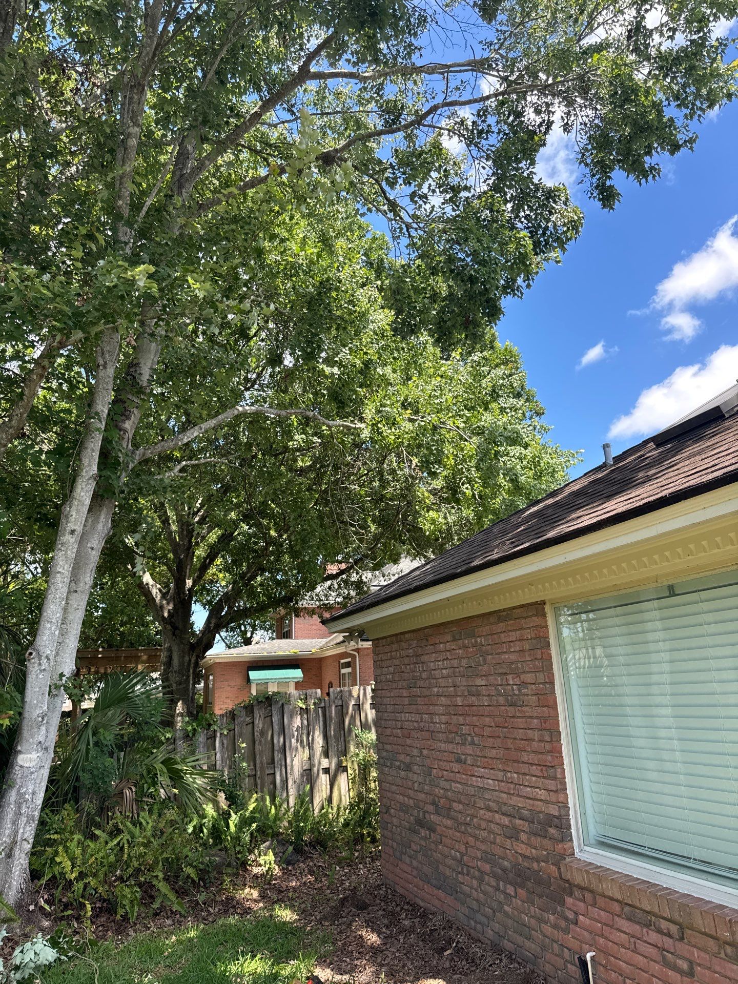 Deerwood Resident | Tree Trimming by ProGreen Services