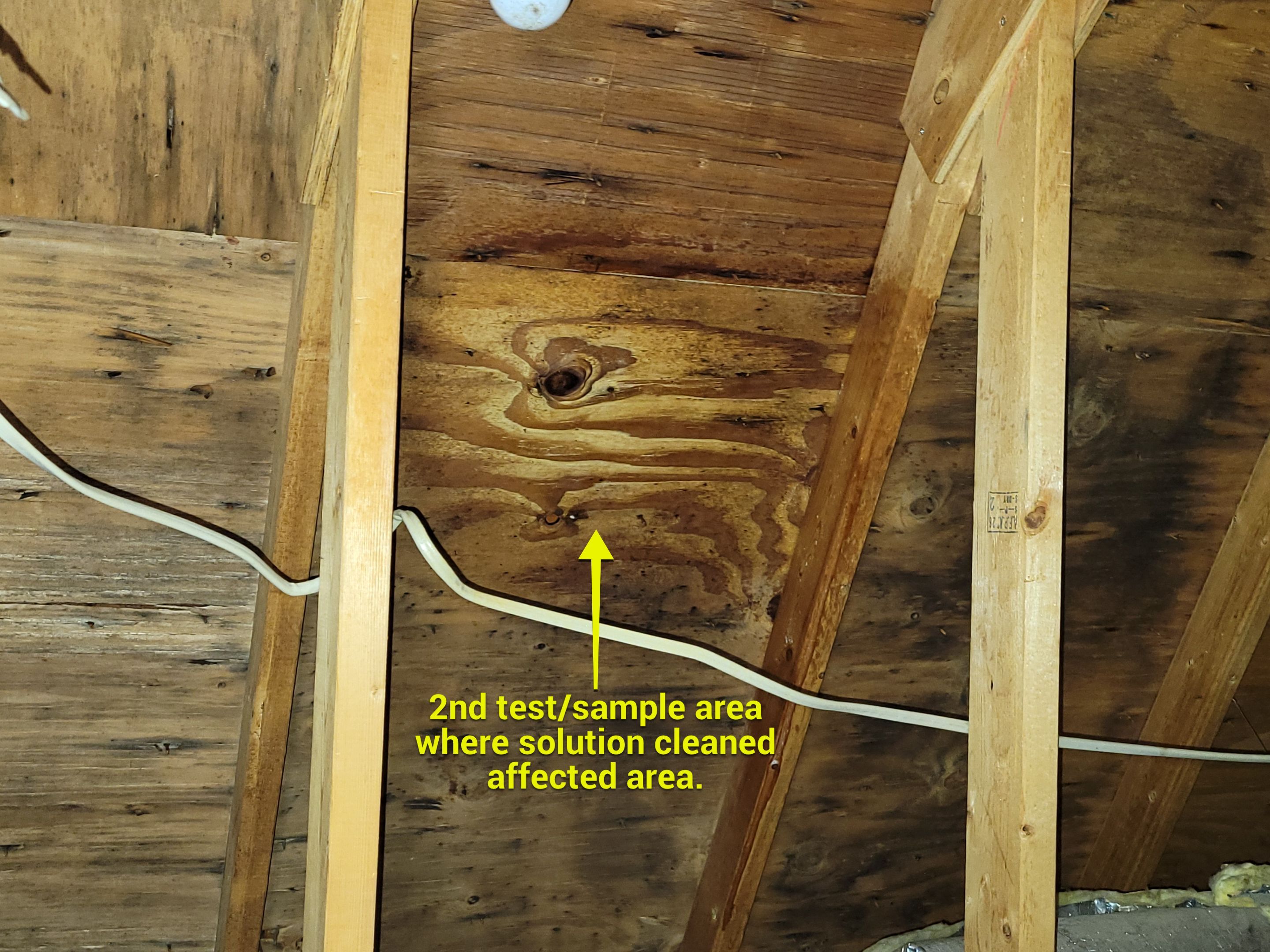 Attic Mold Remediation by Chicagoland Water Medics