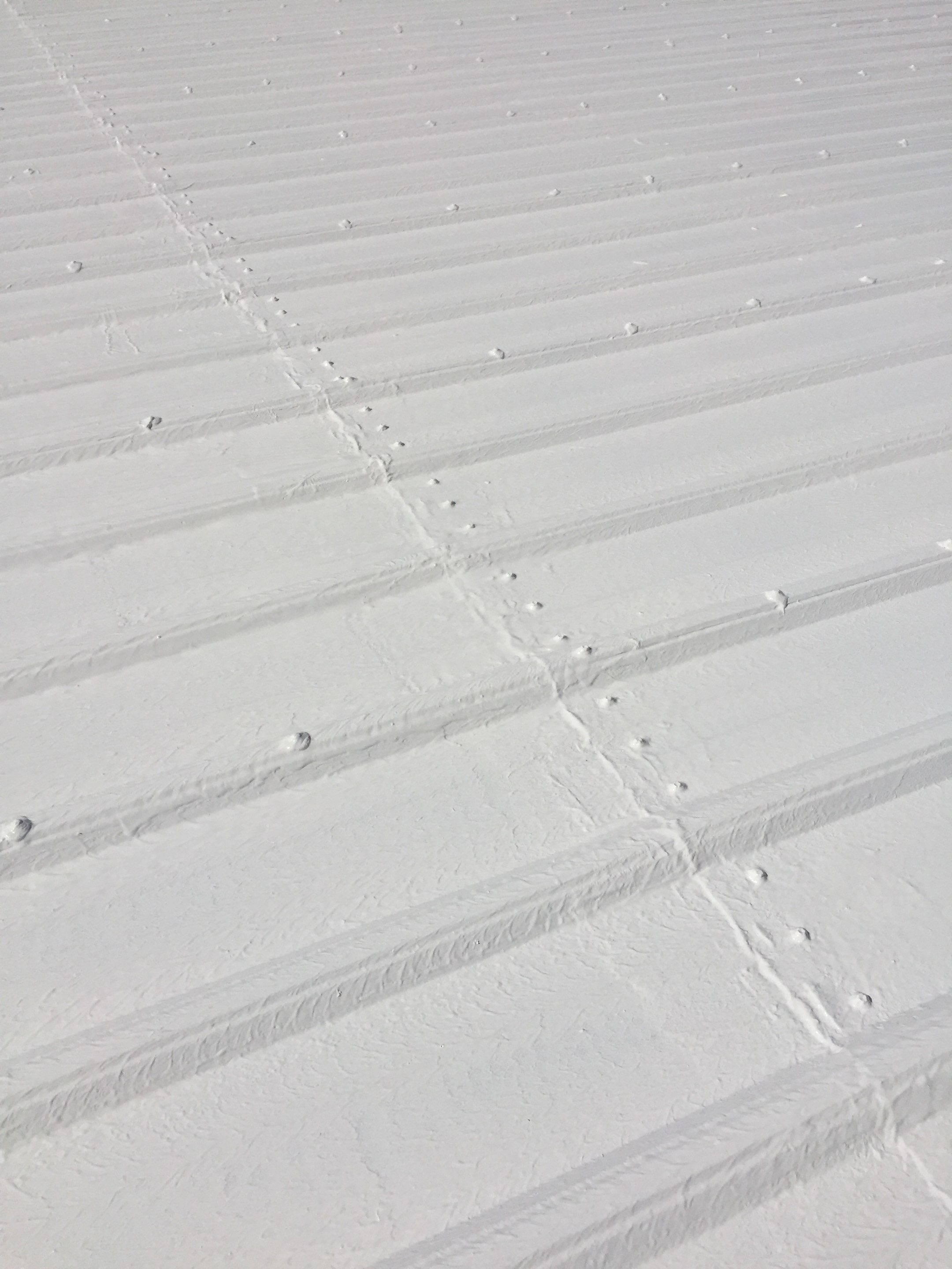 Commercial Roof Coating using Gaco Silicone Roof Coating by Secure Construction Company Inc
