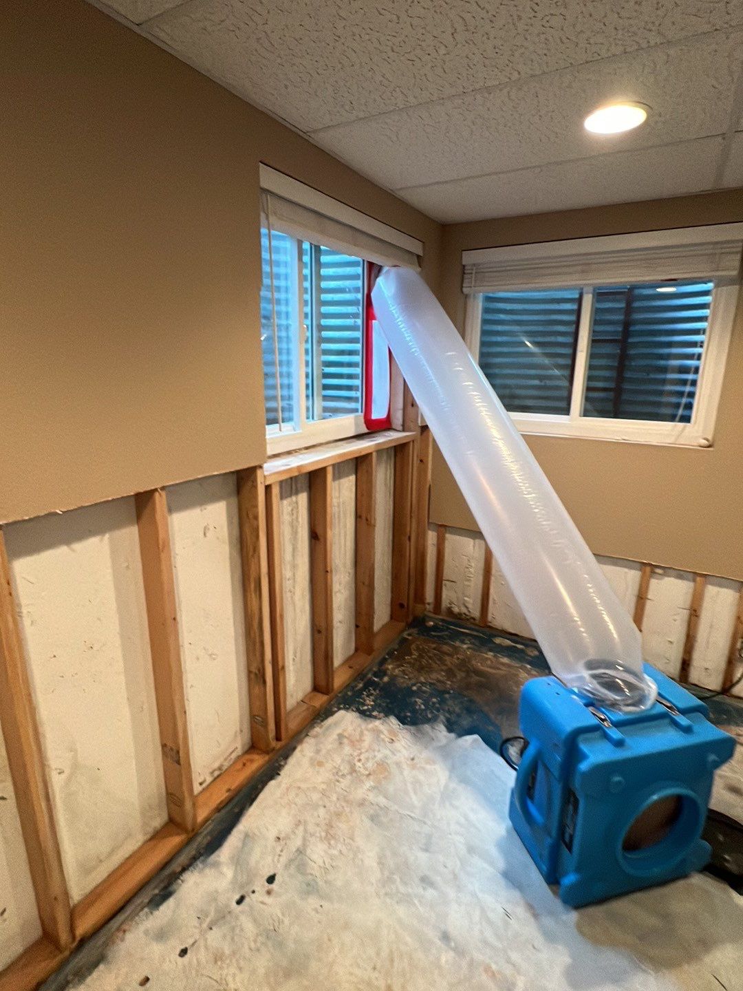 Mold Damage by Accountable Home Services