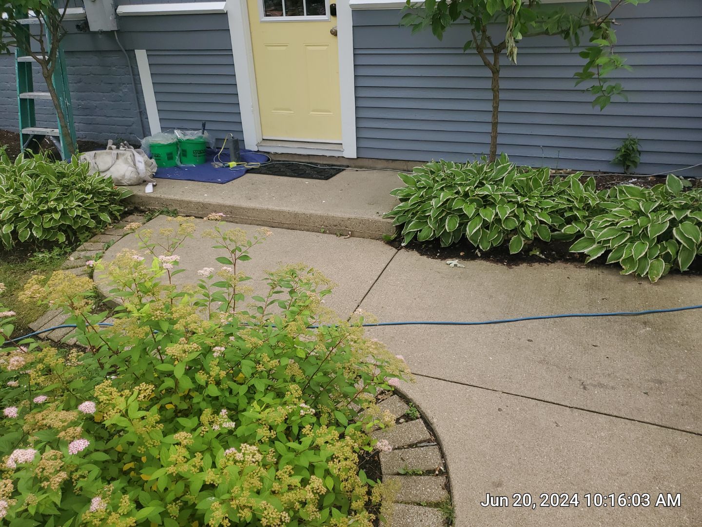 concrete cleaning using Algaecide, soft wash soap by Northern Power Washing LLC.