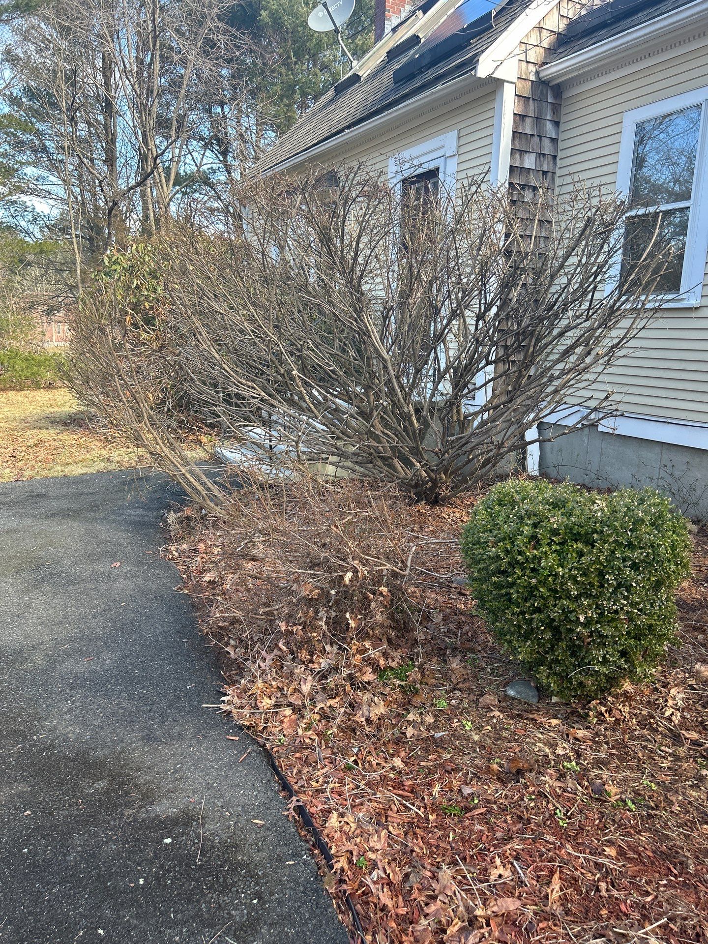 Landscape Walkthrough by LaMere Landscaping and Property Maintenance