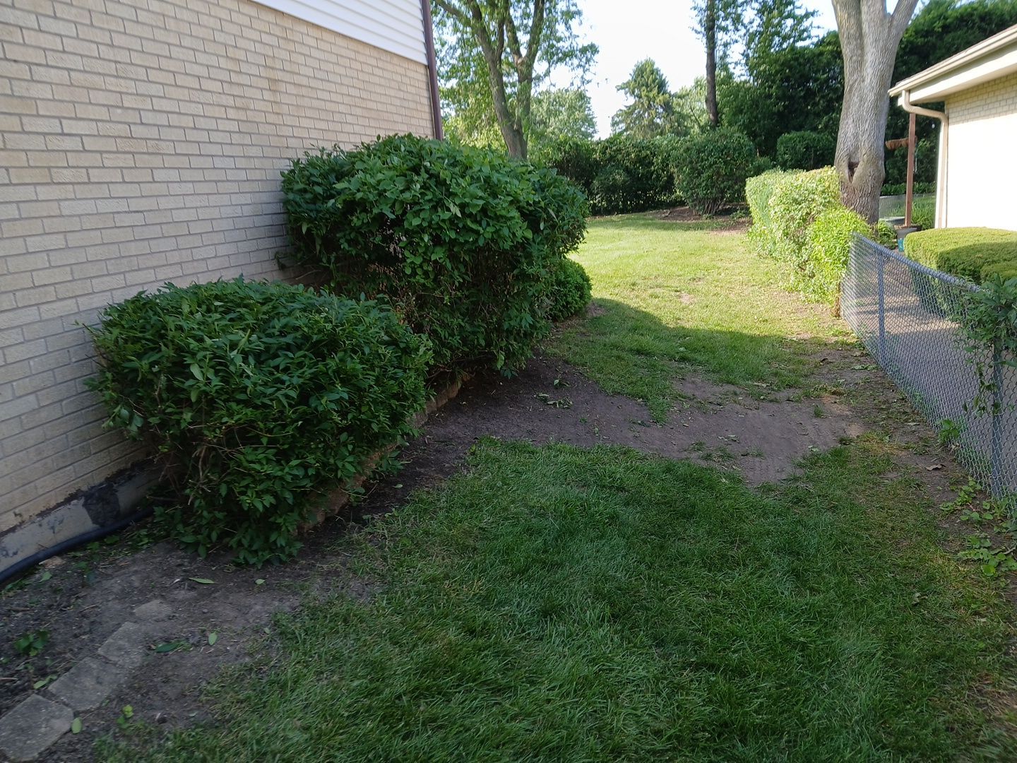 Andrew L. - Arlington Heights, IL by A&N