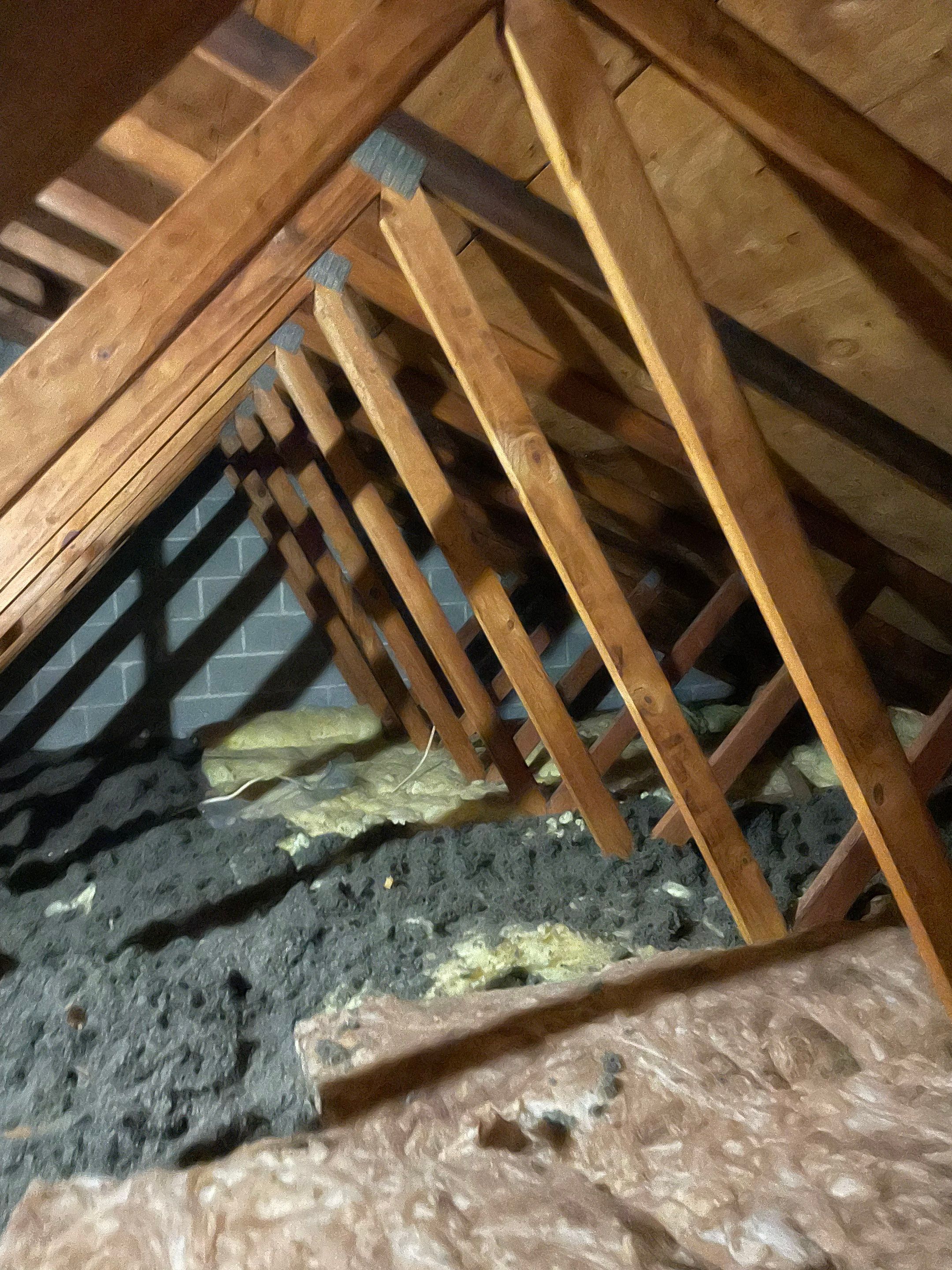 Annandale : Residential Roof Replacement with CertainTeed Landmark Pro in Max Def Moire Black  by RM Banning, Inc.