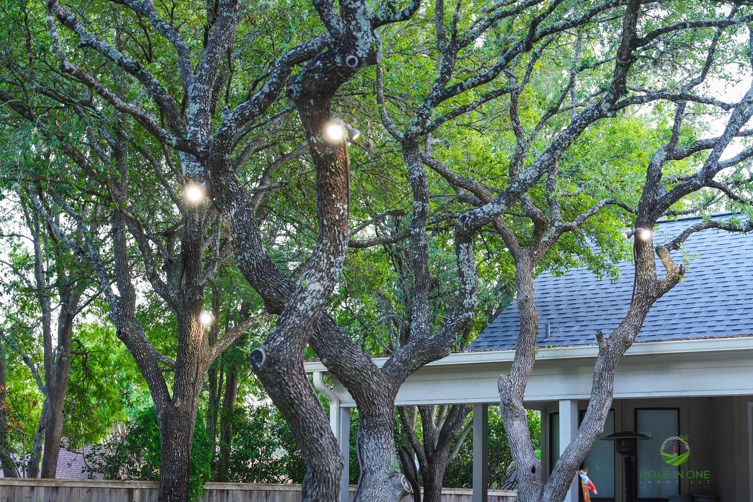 Henderson Pass, San Antonio Tx. by Hole In One Lawns, LLC