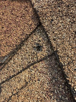 Residential Roof Leak Repair and Structural Wood Replacement in Frederick