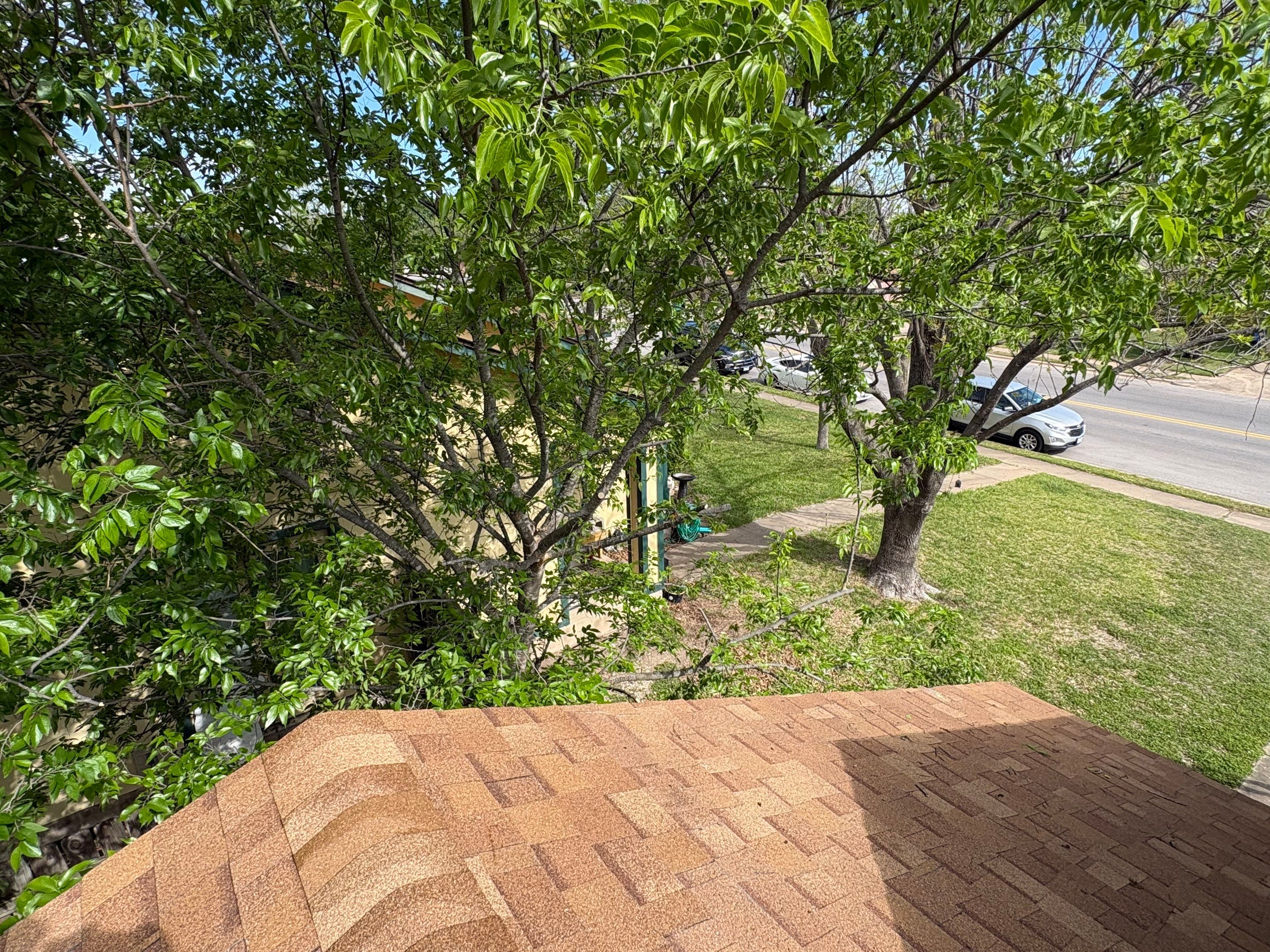 Roof Leak Repair & Tree Trimming in Pflugerville, TX by Kstylez Roofing & Construction
