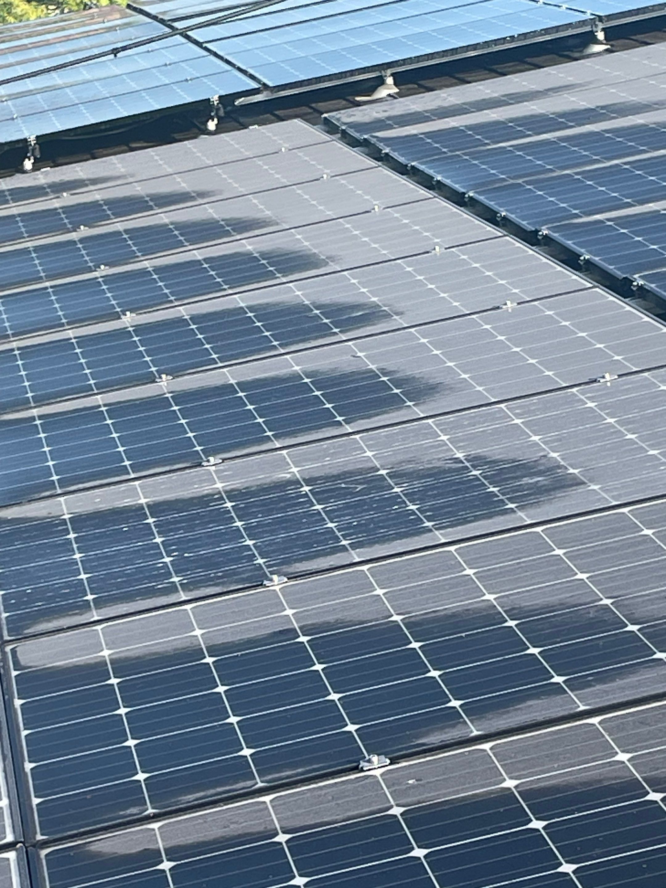 Commercial Solar Panel Cleaning for Chandler School in Pasadena Ca by Palm Coast Solar Cleaning