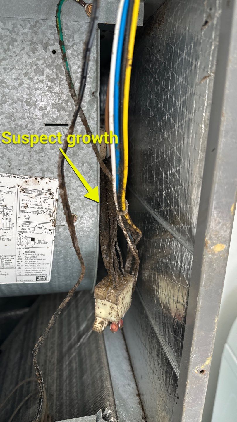 Air Duct Cleaning in Orlando by Hygienic Air, Inc