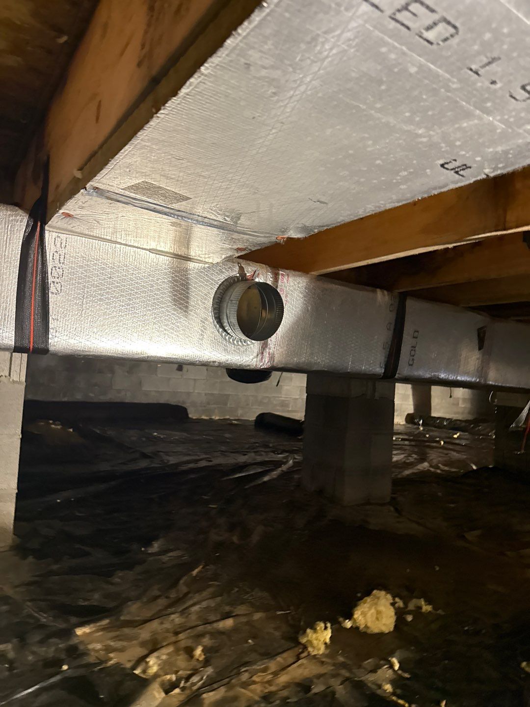 Water Damage& Mold Remediation Project-Dover, DE. by Healthy Home Solutions