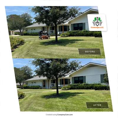 BAGGING GRASS CLIPPINGS AND DEBRIS WITH SCAG GRASS CATCHER