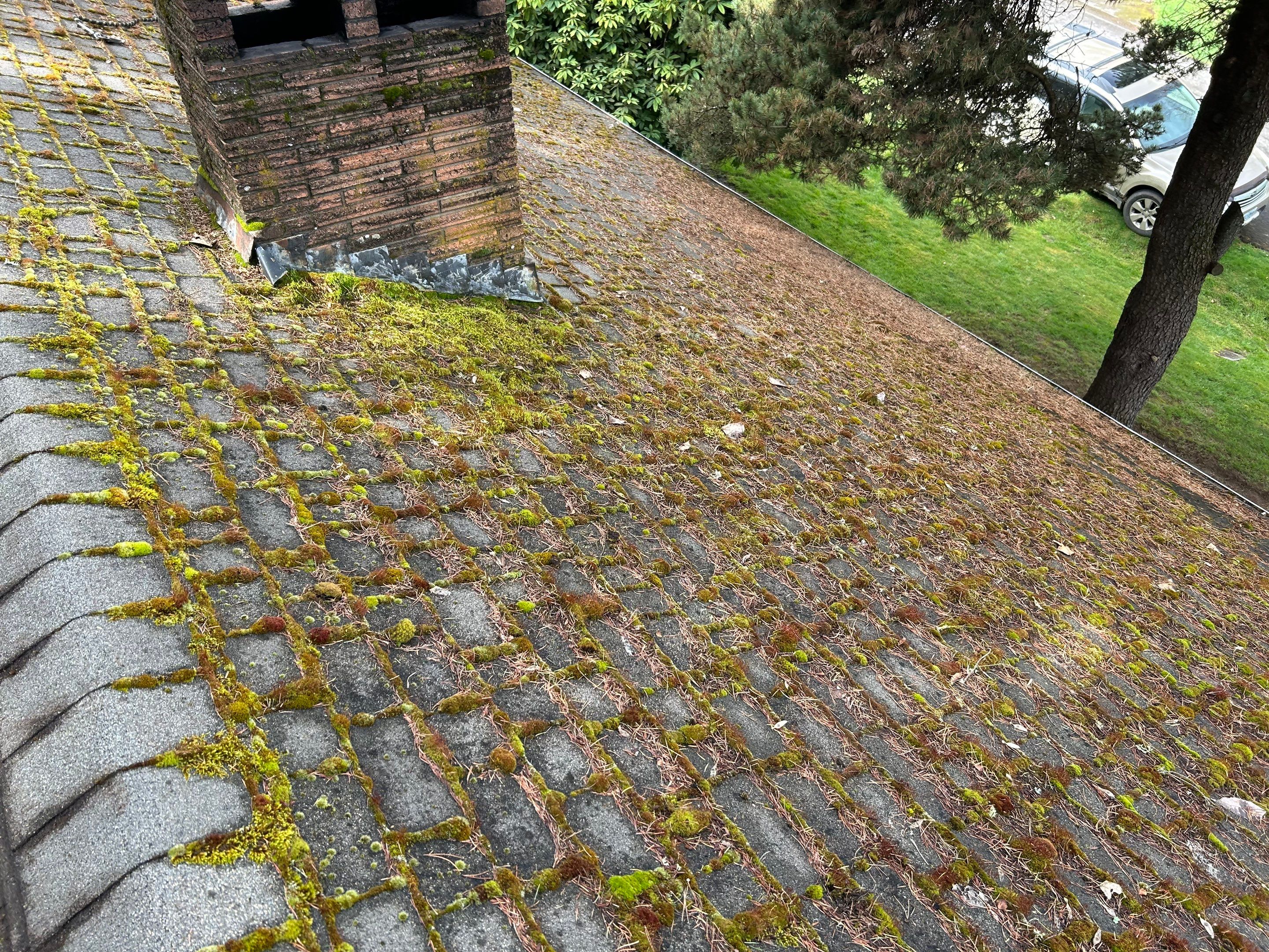 Roof Maintenance in West Linn by Prodigy Roof Solutions