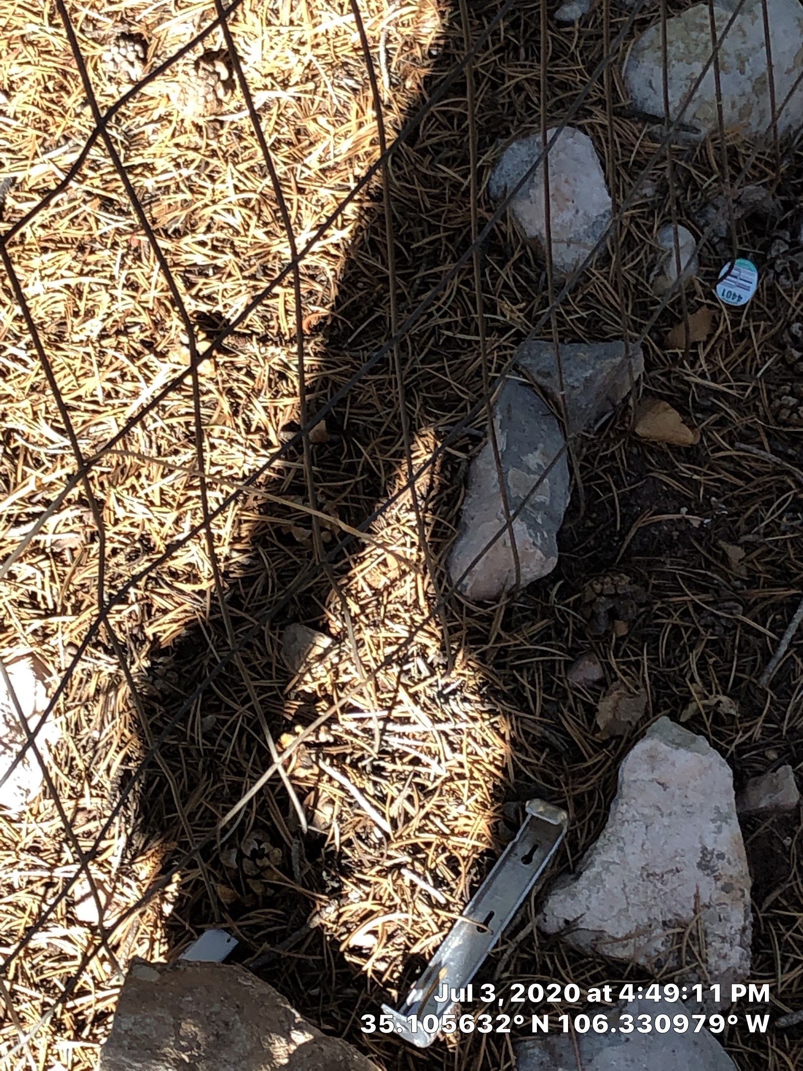 Deck Rehab by Rio Grande Building & Storage