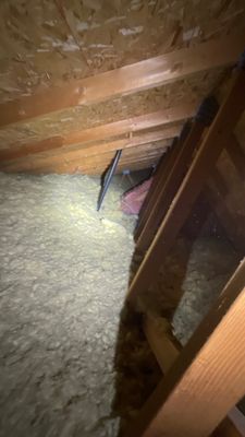 Fire Damage Project in Louisville