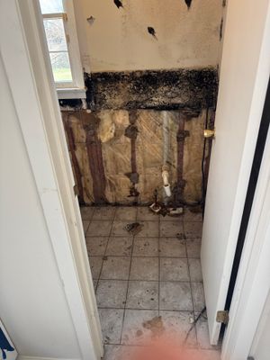 Mold Remediation and Water Damage Repair in Stonybrook, NY
